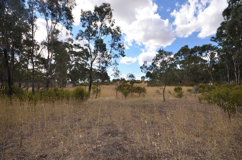 4895 Ballarat - Maryborough Road, Talbot VIC 3371, Talbot - Thumbnail 6