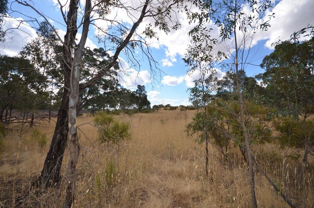 4895 Ballarat - Maryborough Road, Talbot VIC 3371, Talbot - Thumbnail 7