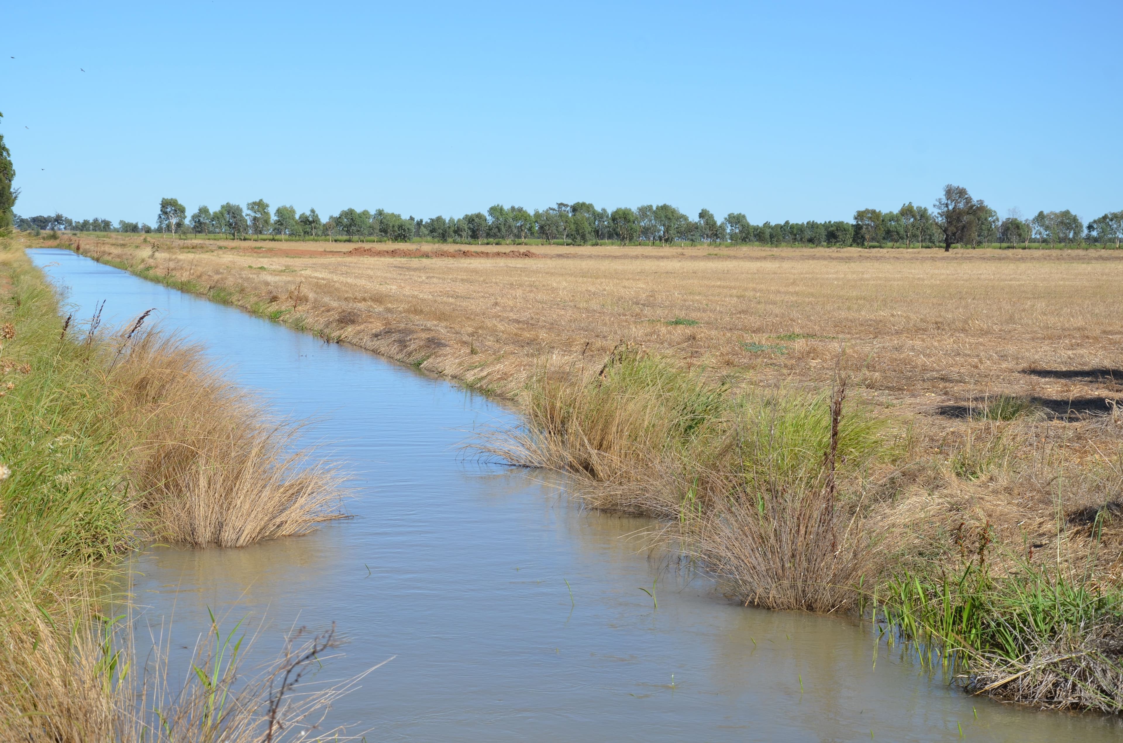 798 Willawa Lane, FINLEY NSW 2713, Finley - Thumbnail 2