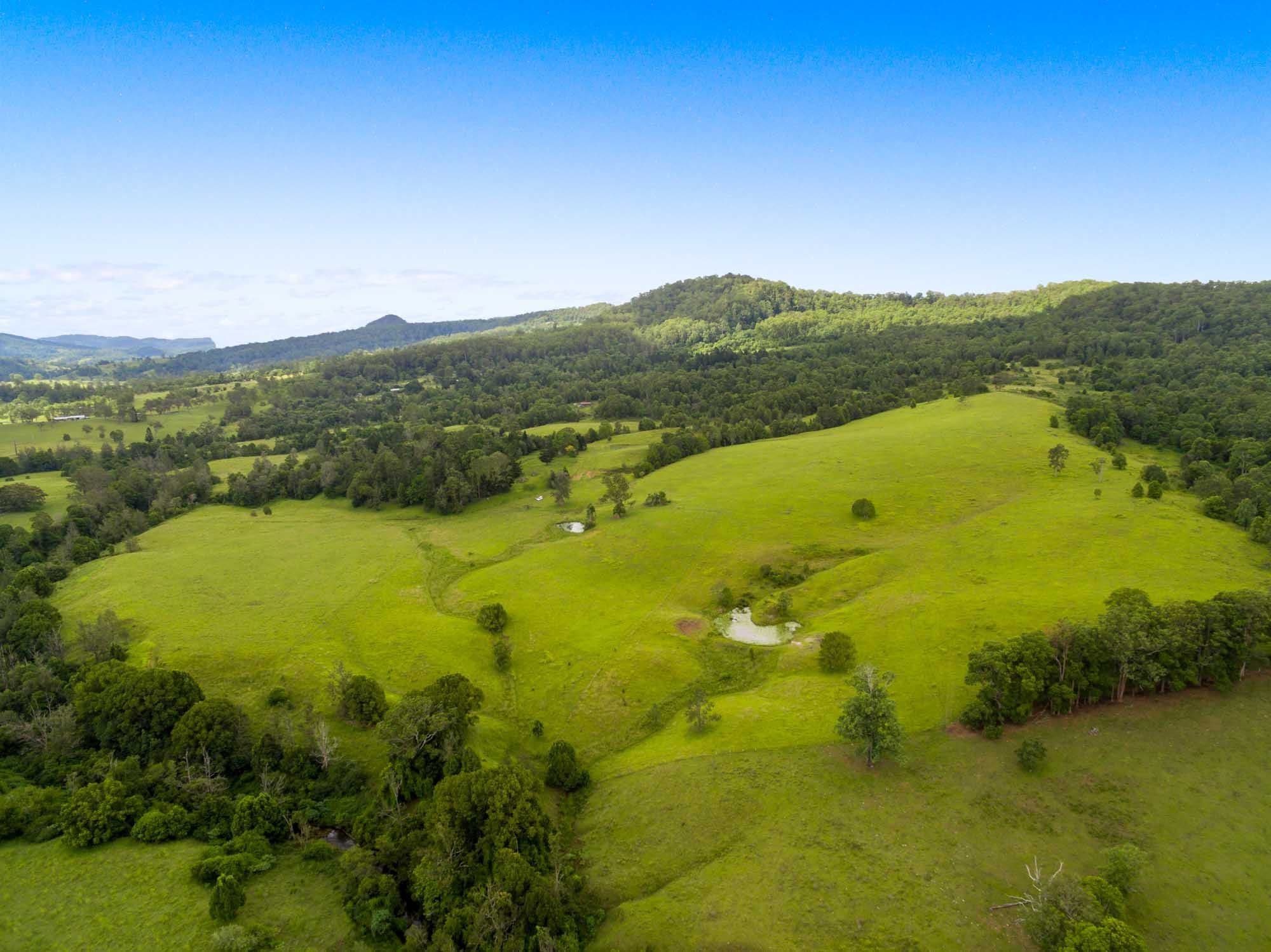 30A Chelmsford Road, Rock Valley NSW 2480, Rock Valley - Thumbnail 3