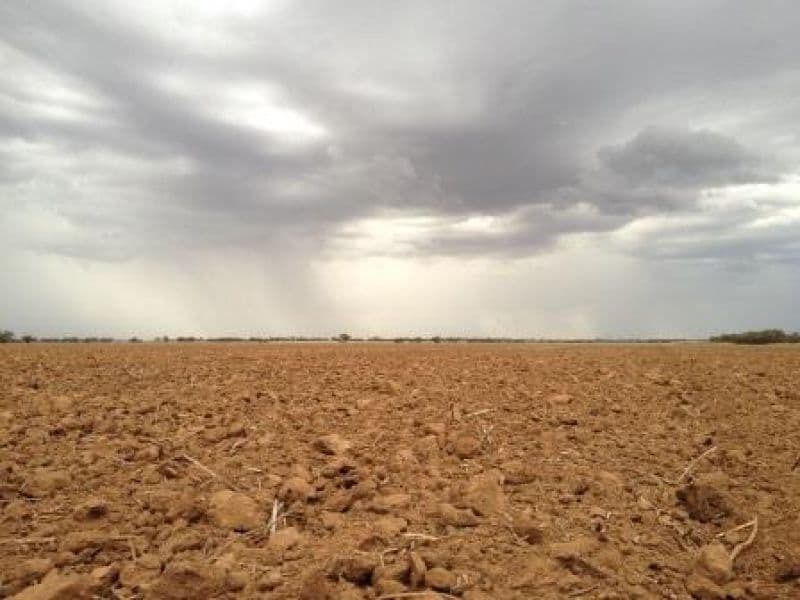 00 Manns Road, QUAMBATOOK VIC 3540, Quambatook - Thumbnail 5