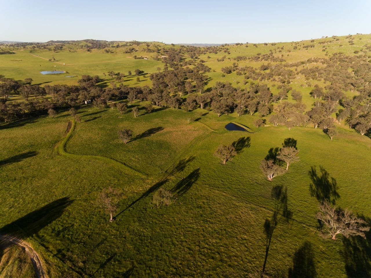 1470 Darbys Falls Road, Darbys Falls NSW 2793, Darbys Falls - Thumbnail 3