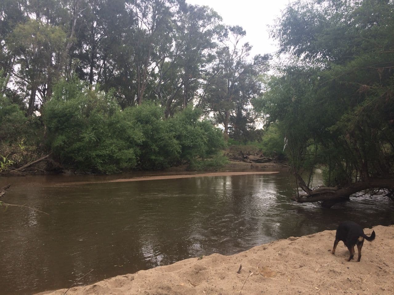 1470 Darbys Falls Road, Darbys Falls NSW 2793, Darbys Falls - Thumbnail 5