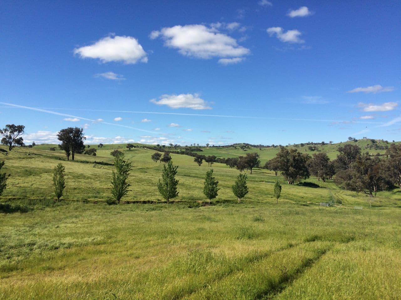 1470 Darbys Falls Road, Darbys Falls NSW 2793, Darbys Falls - Thumbnail 6