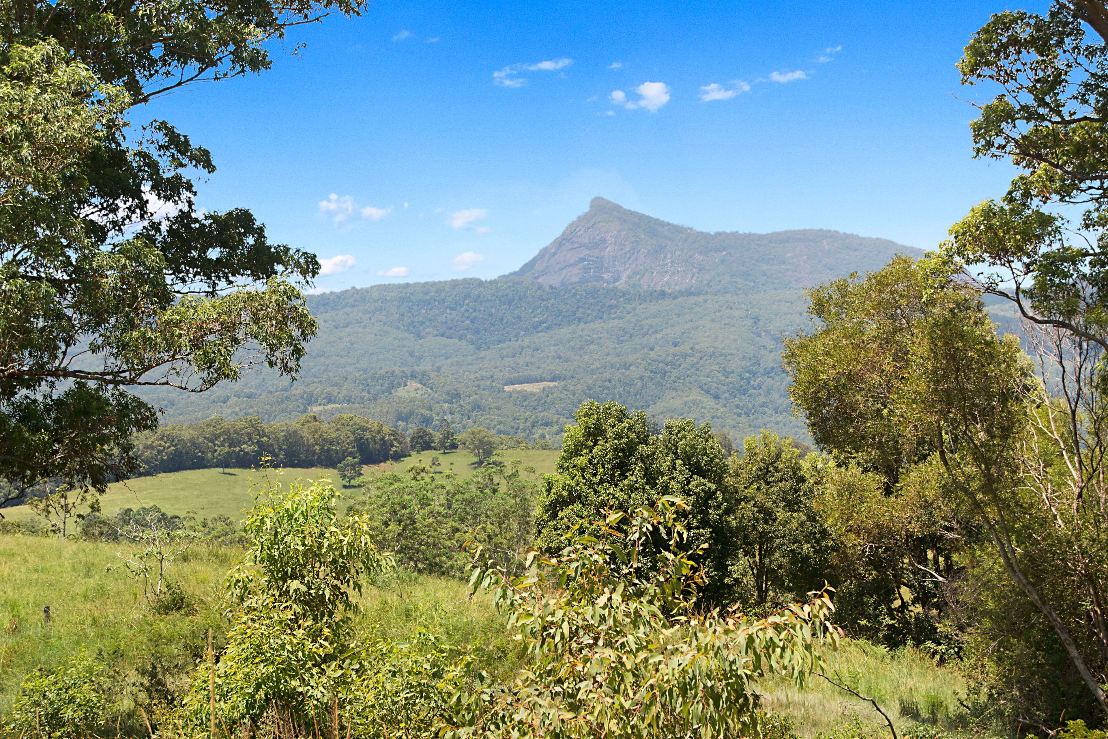 427 Pinnacle Road, Pumpenbil NSW 2484, Pumpenbil - Thumbnail 5