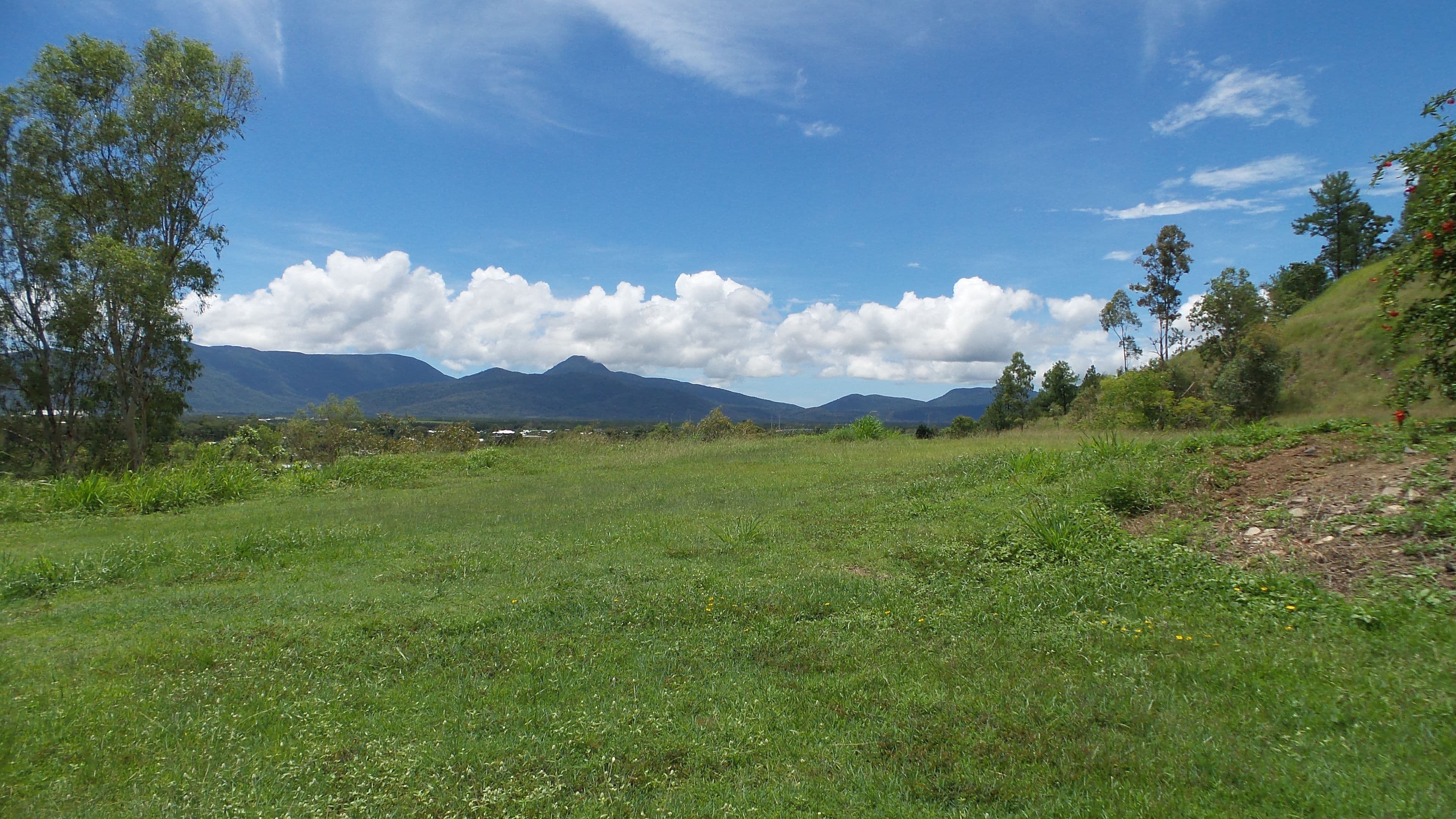30 Barnes Street, Earlville QLD 4870, Earlville - Thumbnail 7