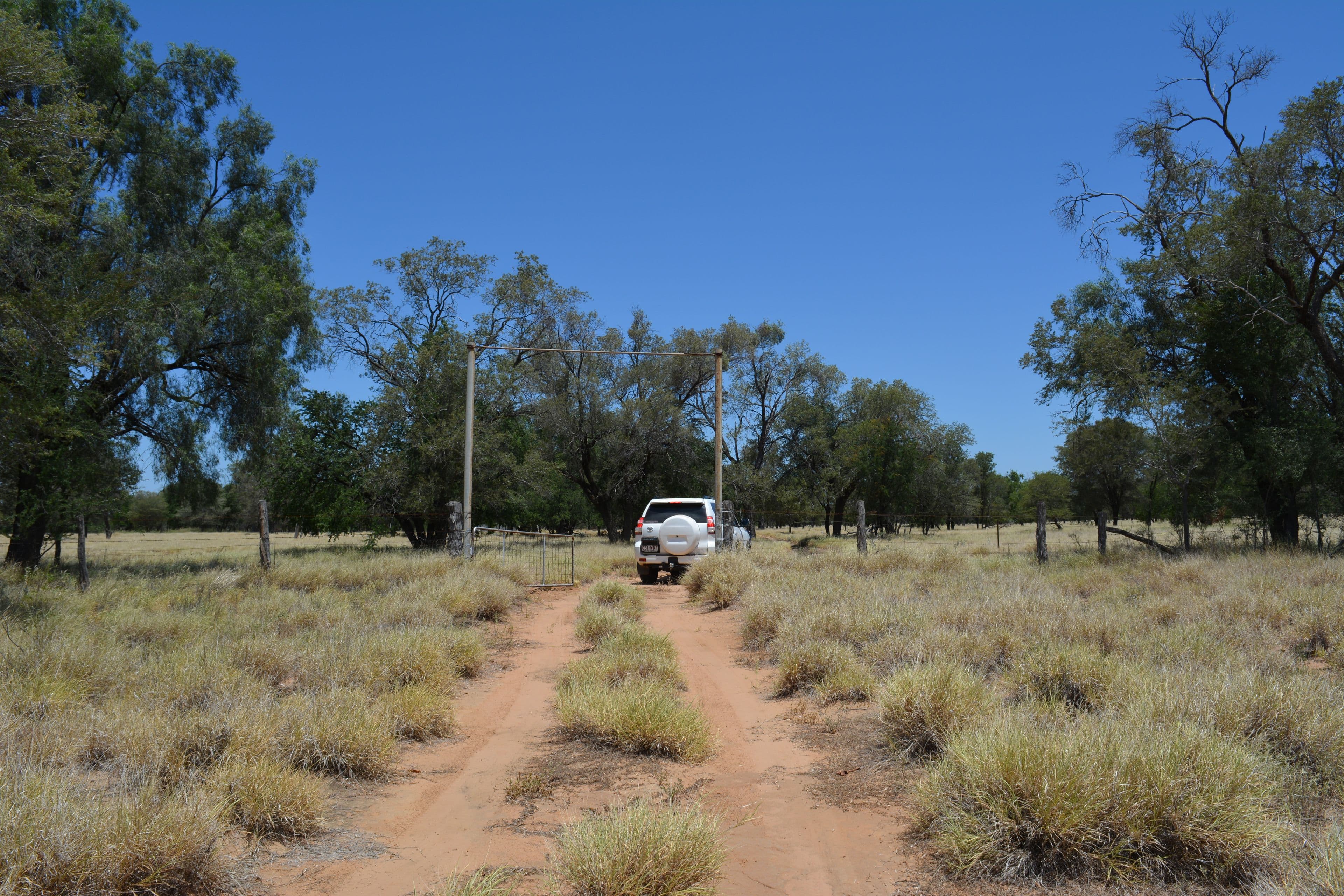 276 Glencoe Road, BLACKALL QLD 4472, Blackall - Image 1