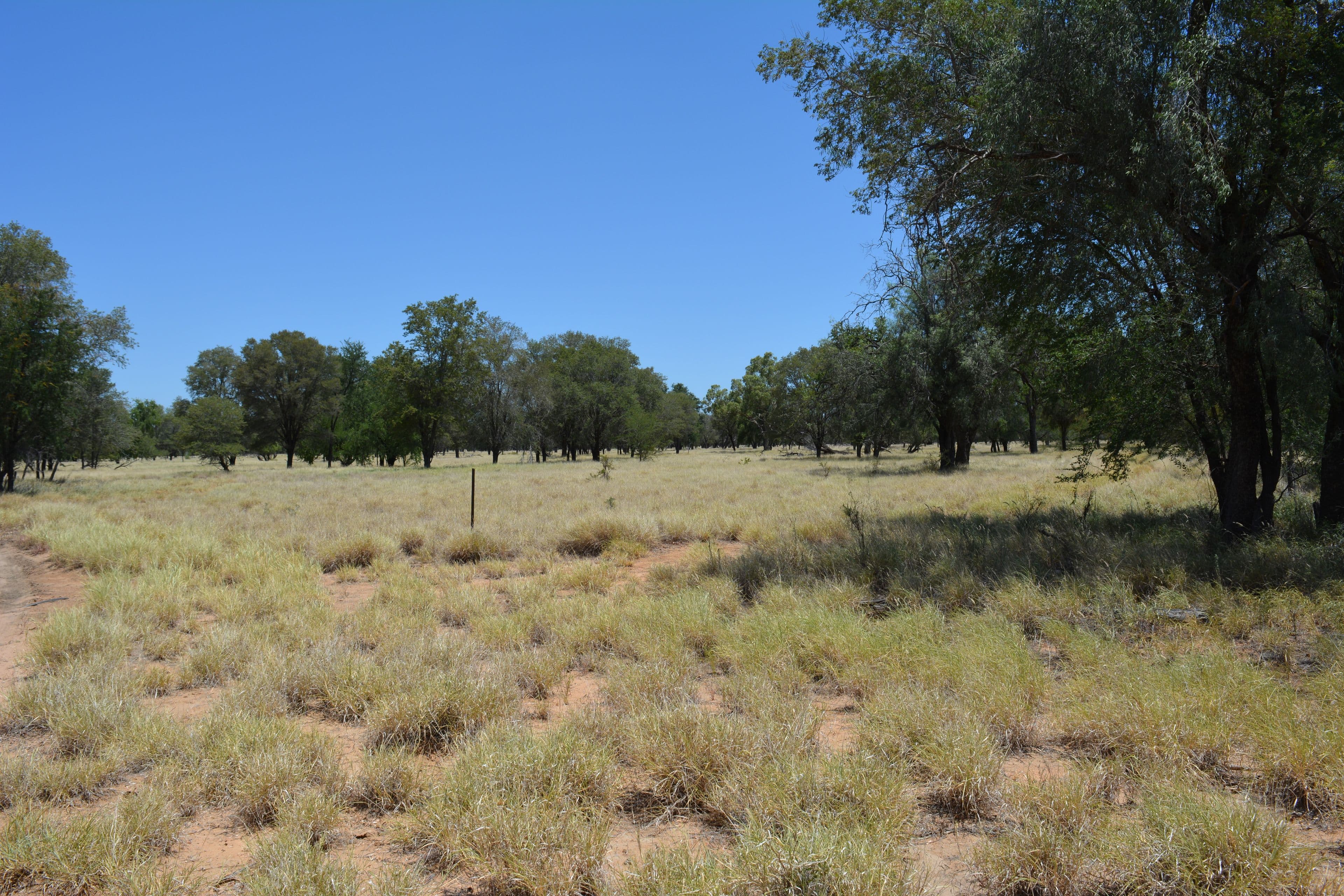 276 Glencoe Road, BLACKALL QLD 4472, Blackall - Thumbnail 3