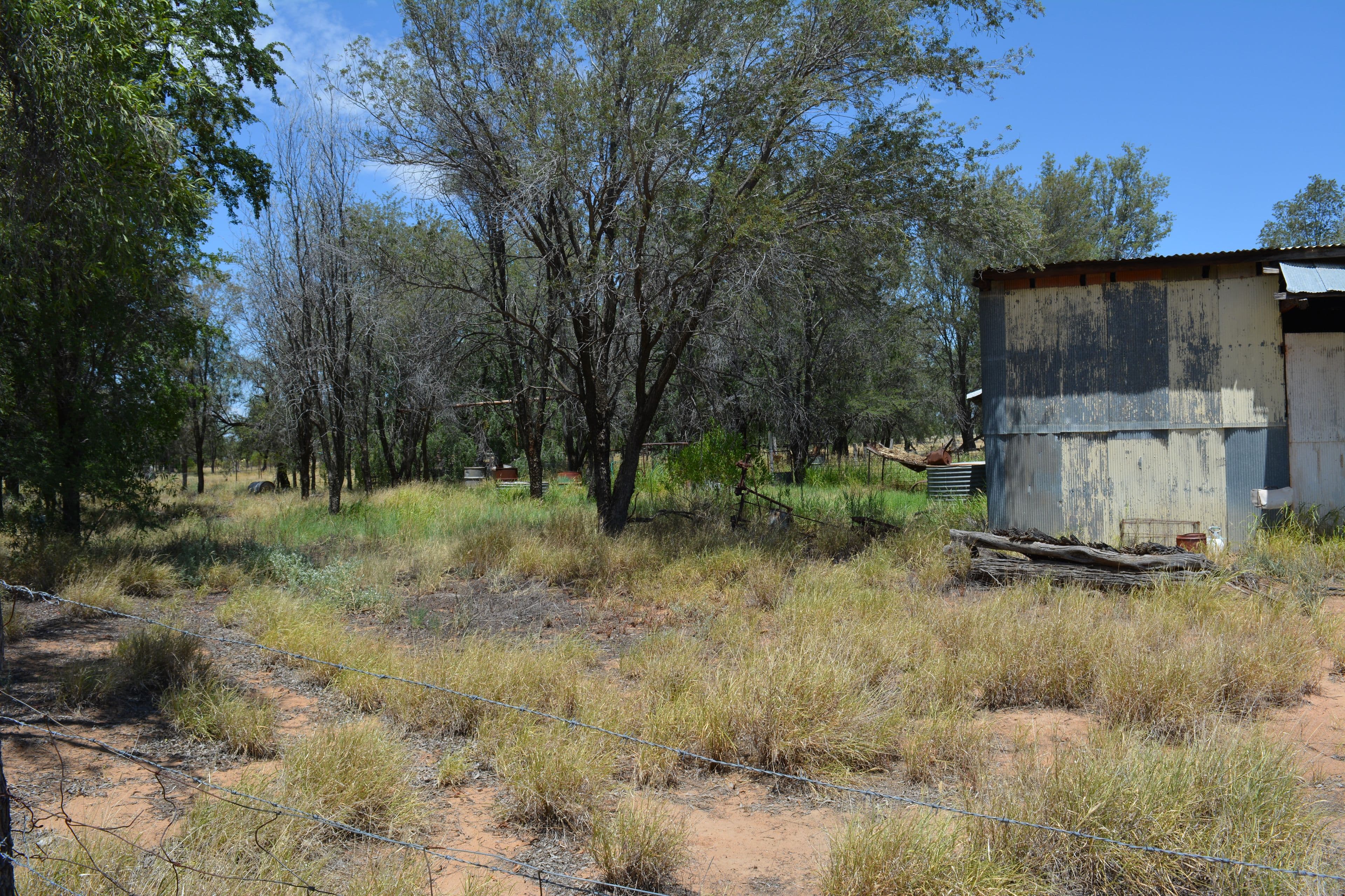 276 Glencoe Road, BLACKALL QLD 4472, Blackall - Thumbnail 6