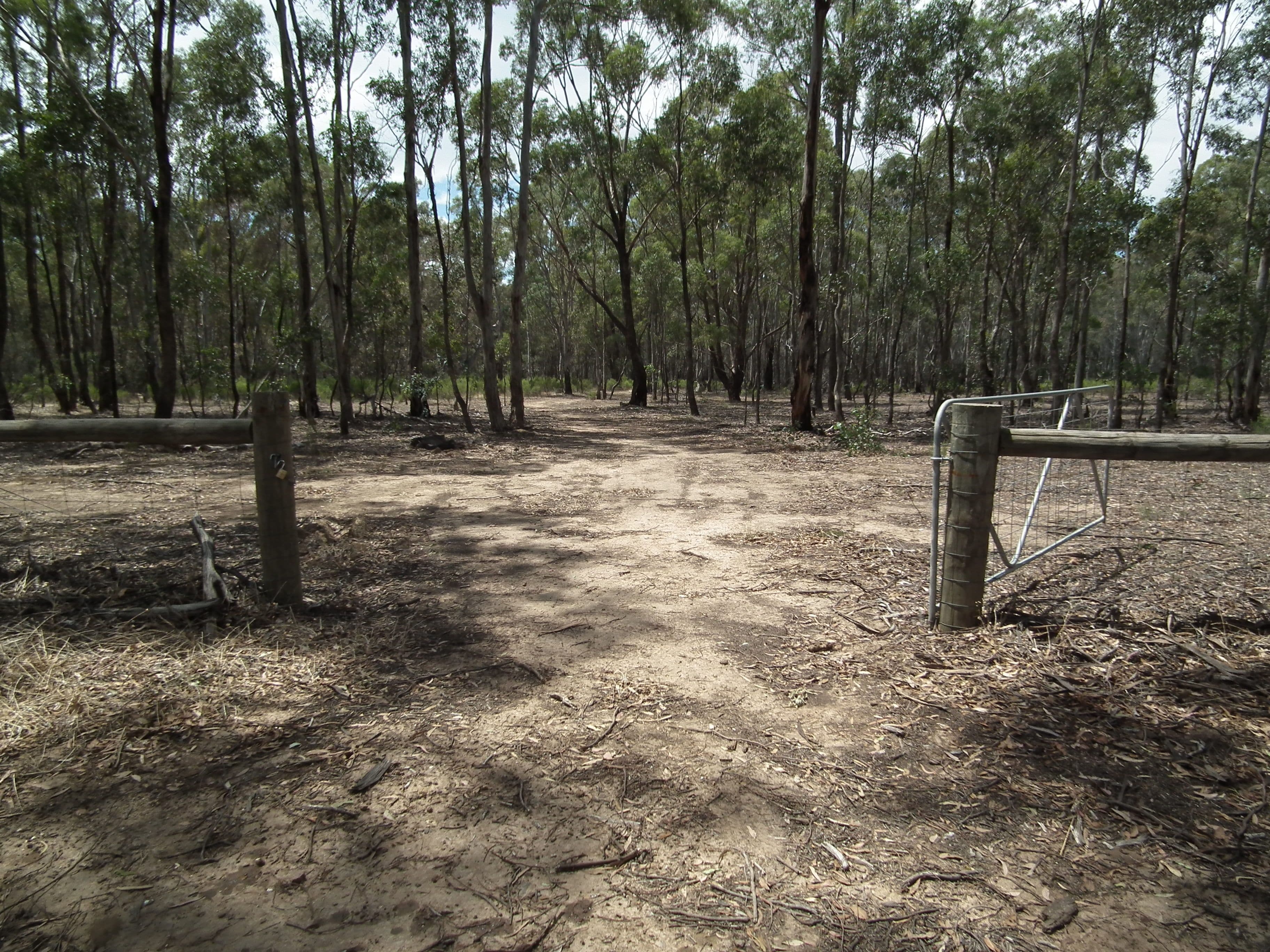 Lot 31 Heathcote-Nagambie Road, Graytown VIC 3608, Graytown - Image 1