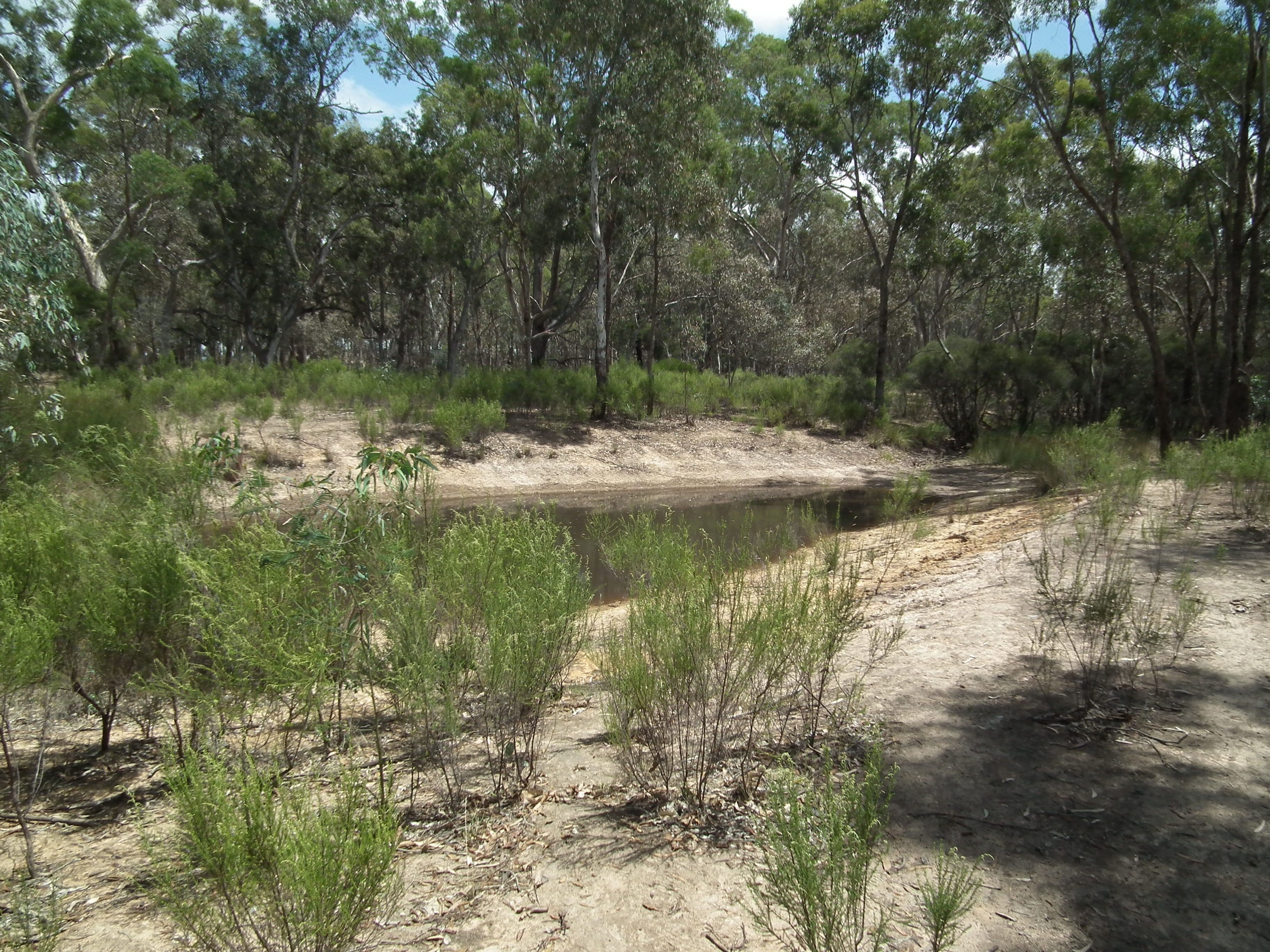 Lot 31 Heathcote-Nagambie Road, Graytown VIC 3608, Graytown - Thumbnail 3