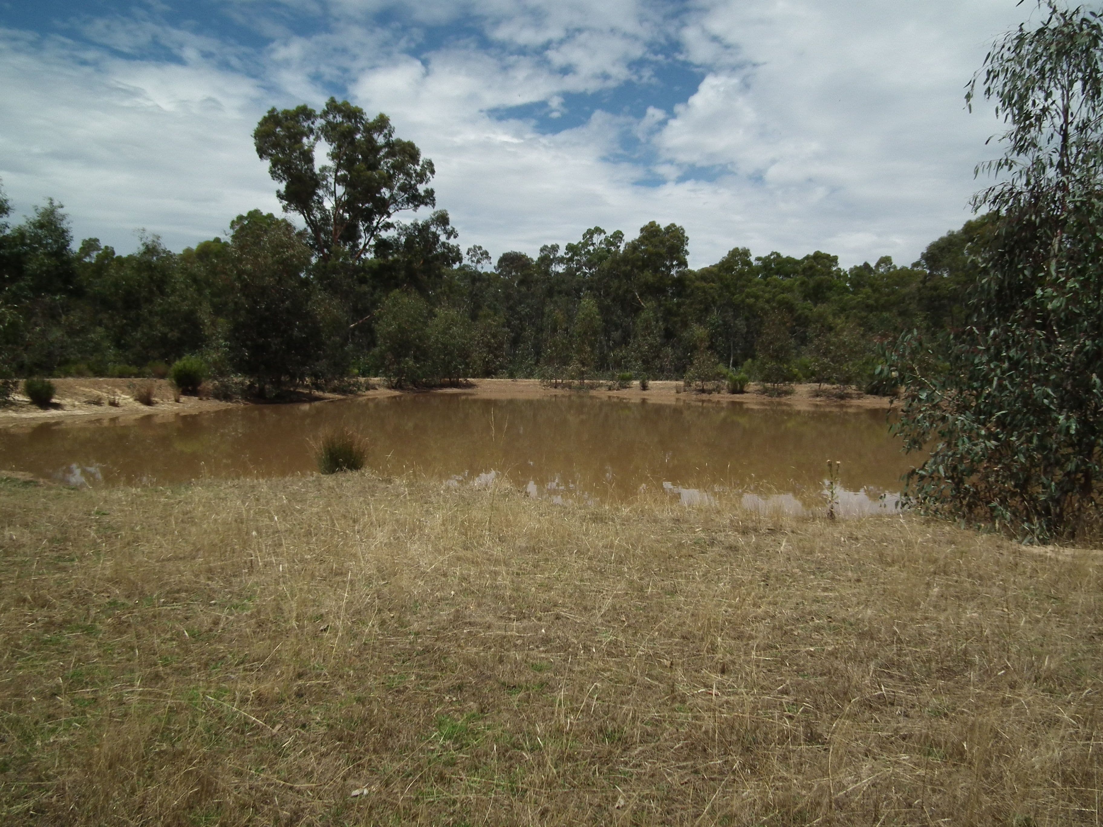 Lot 31 Heathcote-Nagambie Road, Graytown VIC 3608, Graytown - Thumbnail 6