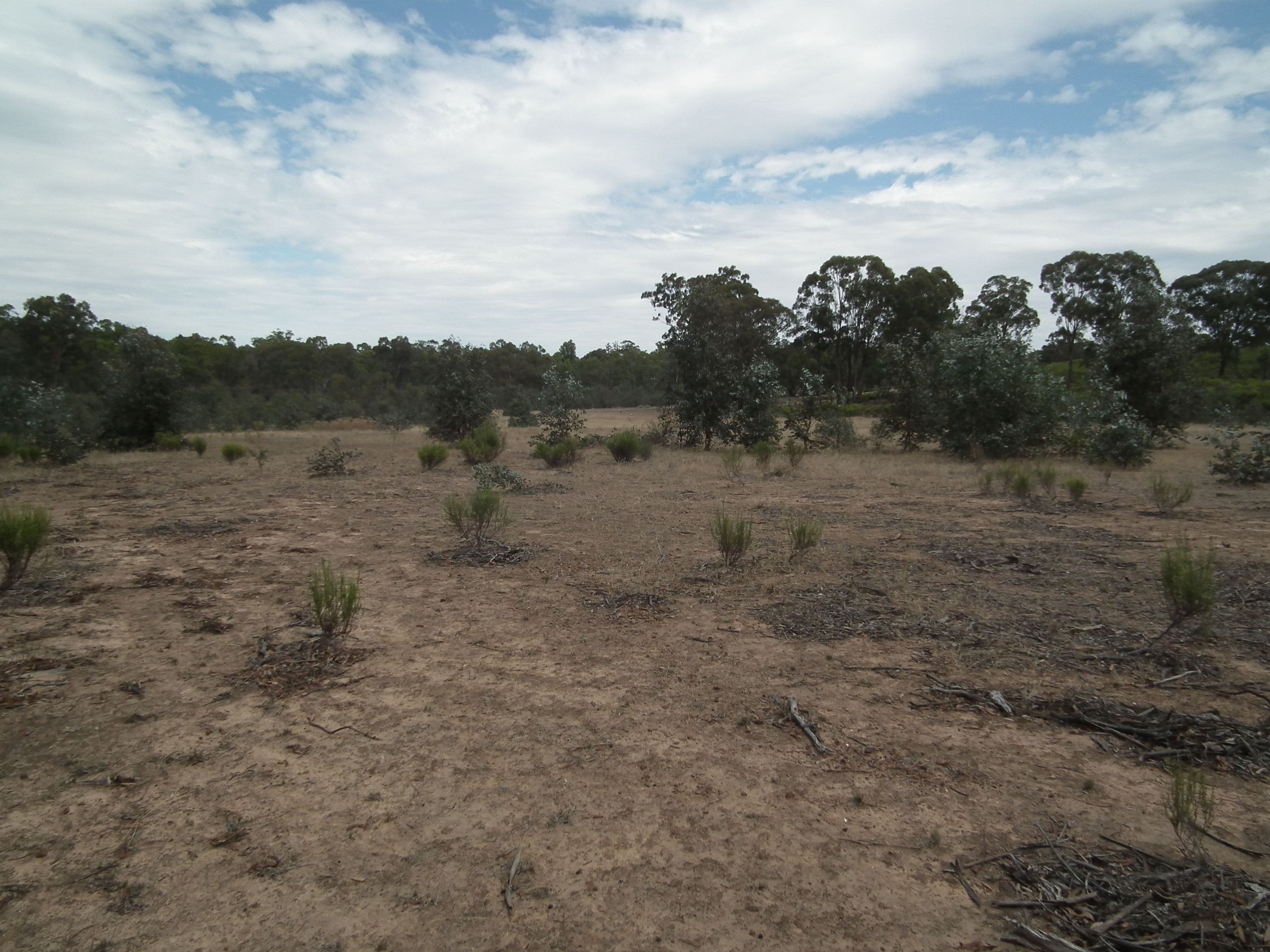 Lot 31 Heathcote-Nagambie Road, Graytown VIC 3608, Graytown - Thumbnail 7