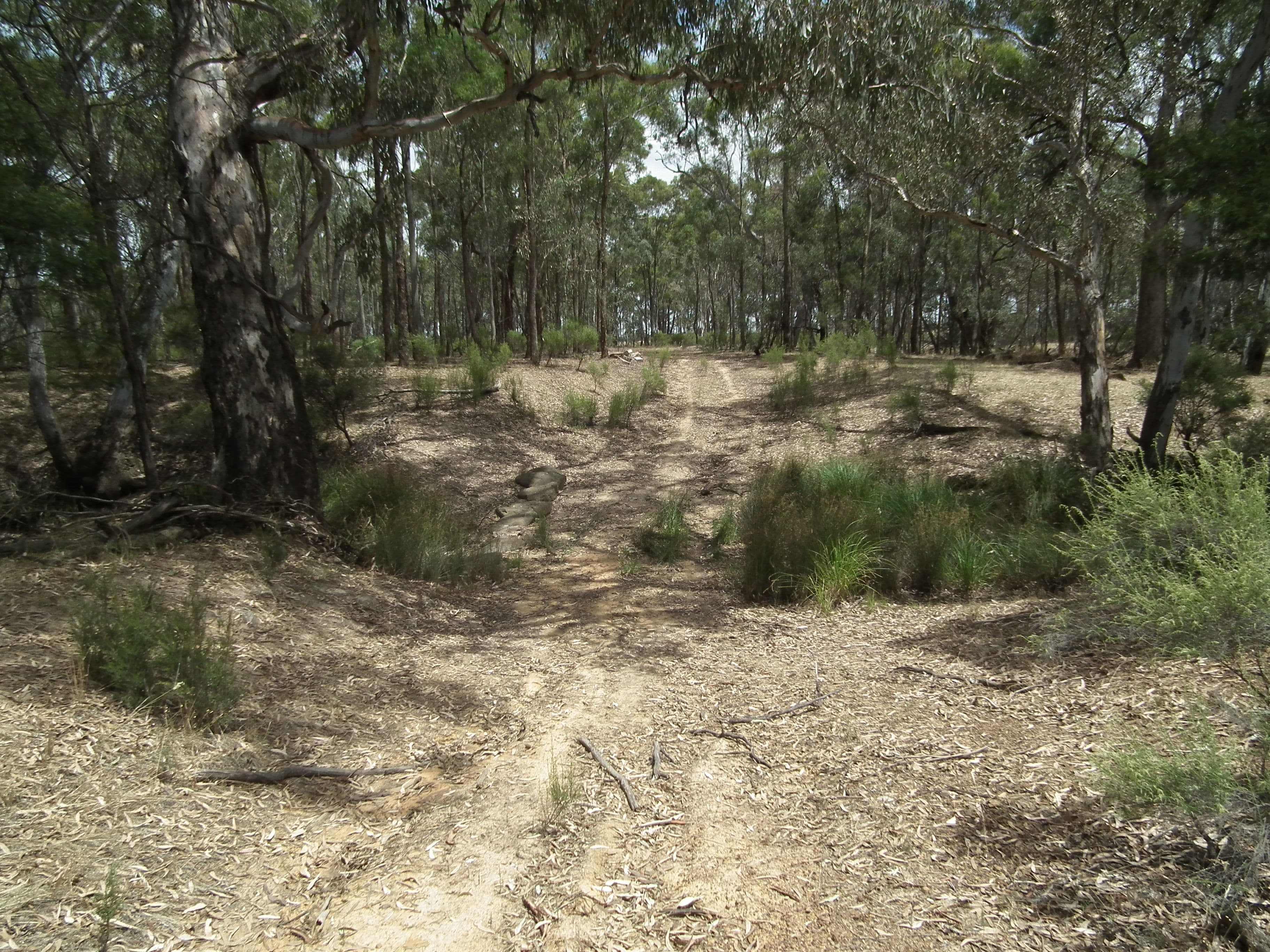 Lot 31 Heathcote-Nagambie Road, Graytown VIC 3608, Graytown - Thumbnail 2