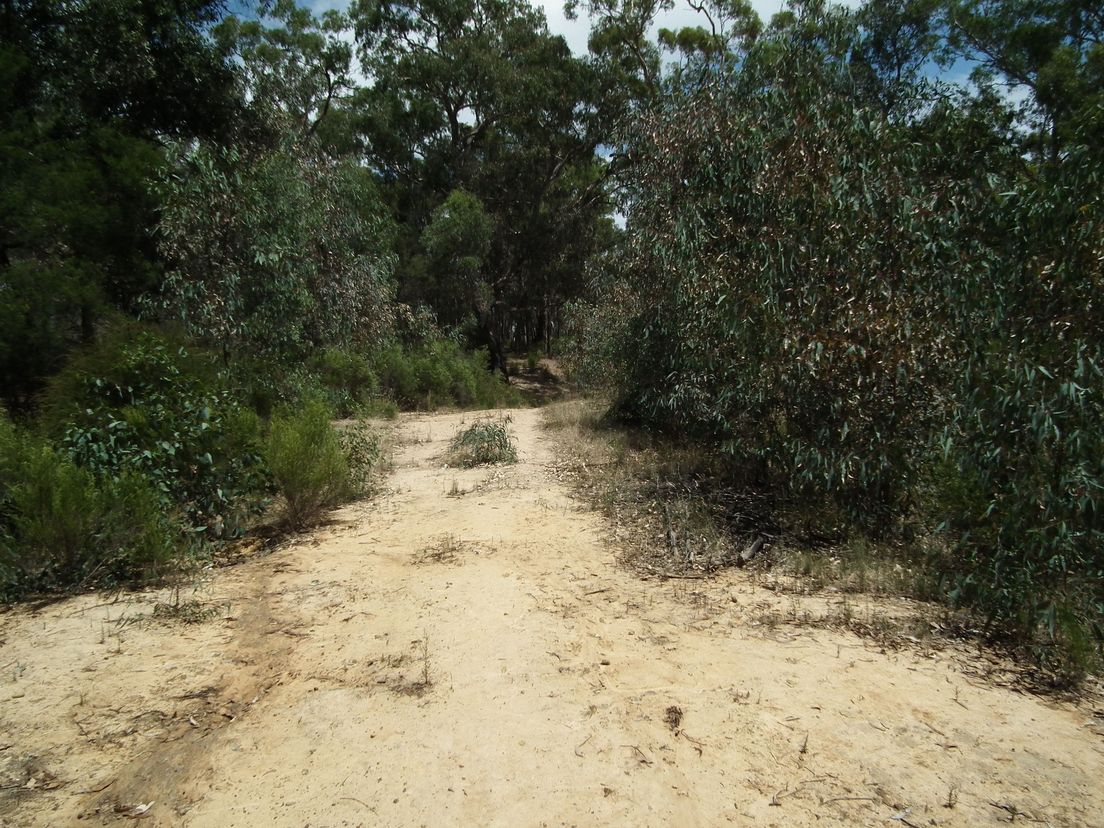 Lot 31 Heathcote-Nagambie Road, Graytown VIC 3608, Graytown - Thumbnail 4
