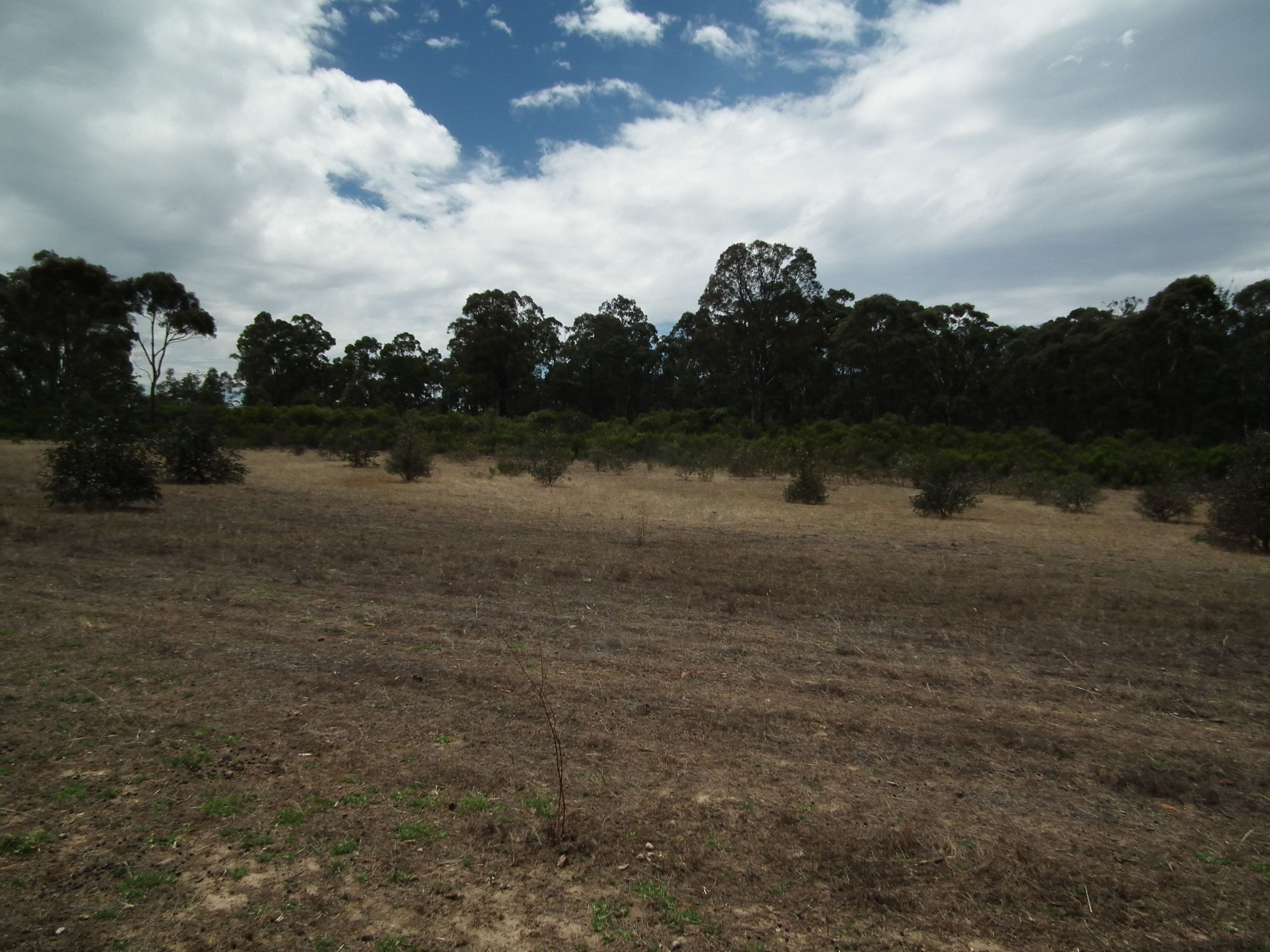Lot 31 Heathcote-Nagambie Road, Graytown VIC 3608, Graytown - Thumbnail 8