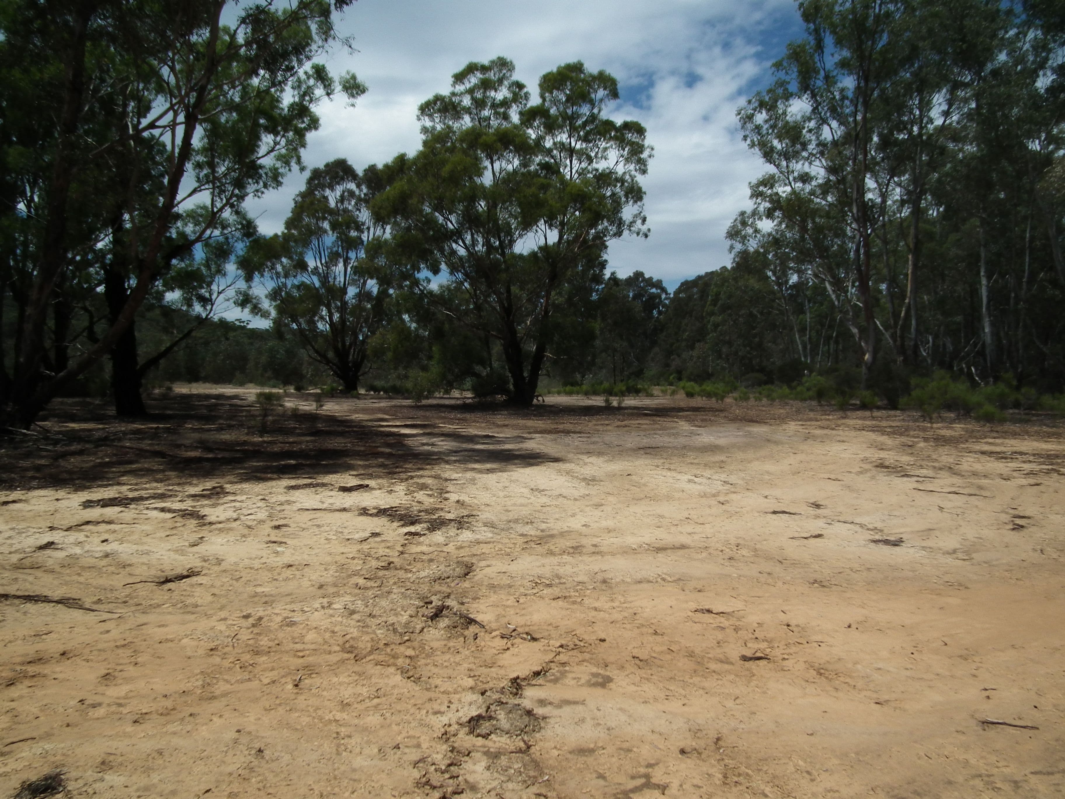 Lot 31 Heathcote-Nagambie Road, Graytown VIC 3608, Graytown - Thumbnail 5