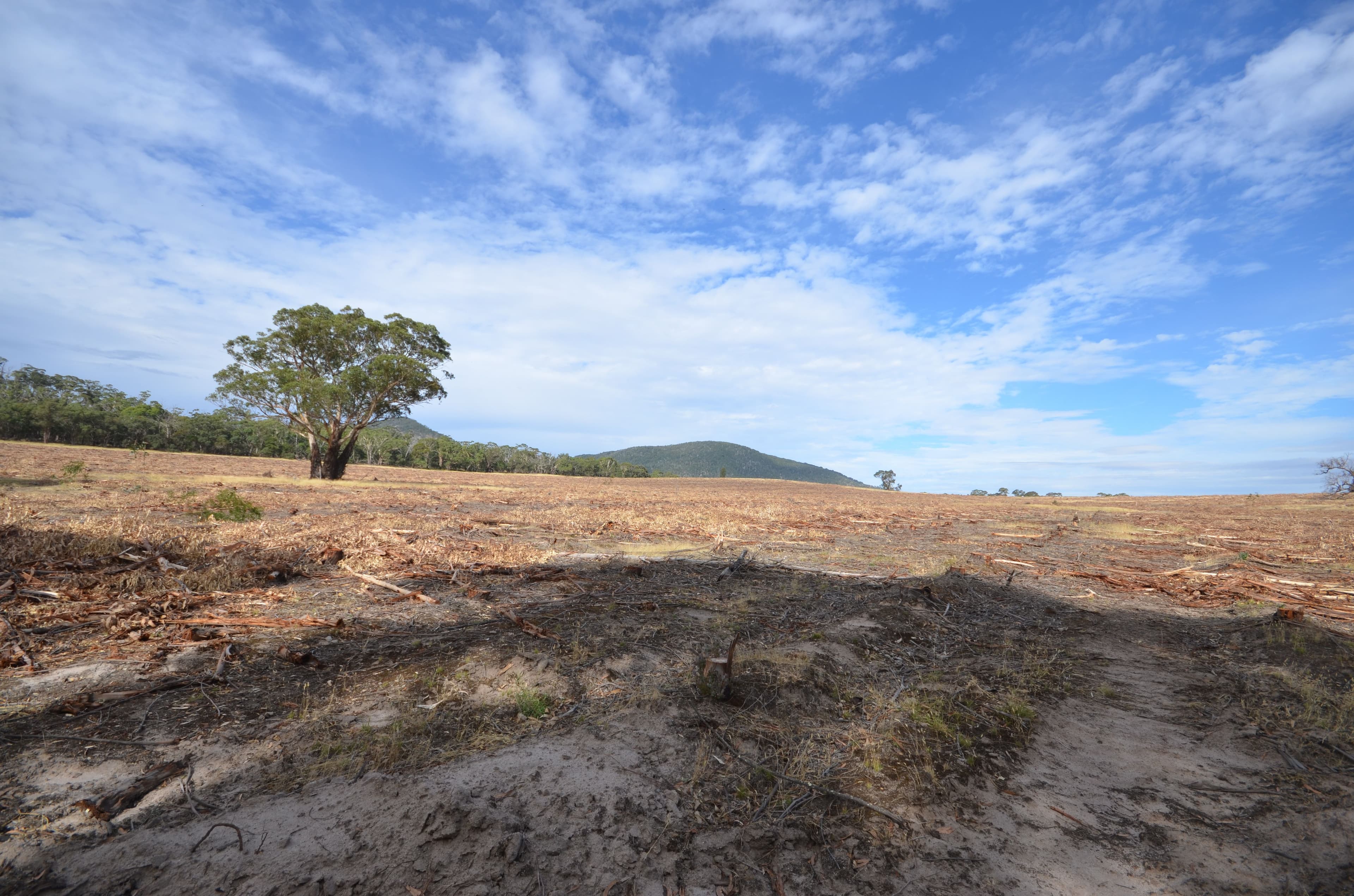 "Brennans" Coxs Road, BUANGOR VIC 3375, Buangor - Thumbnail 2