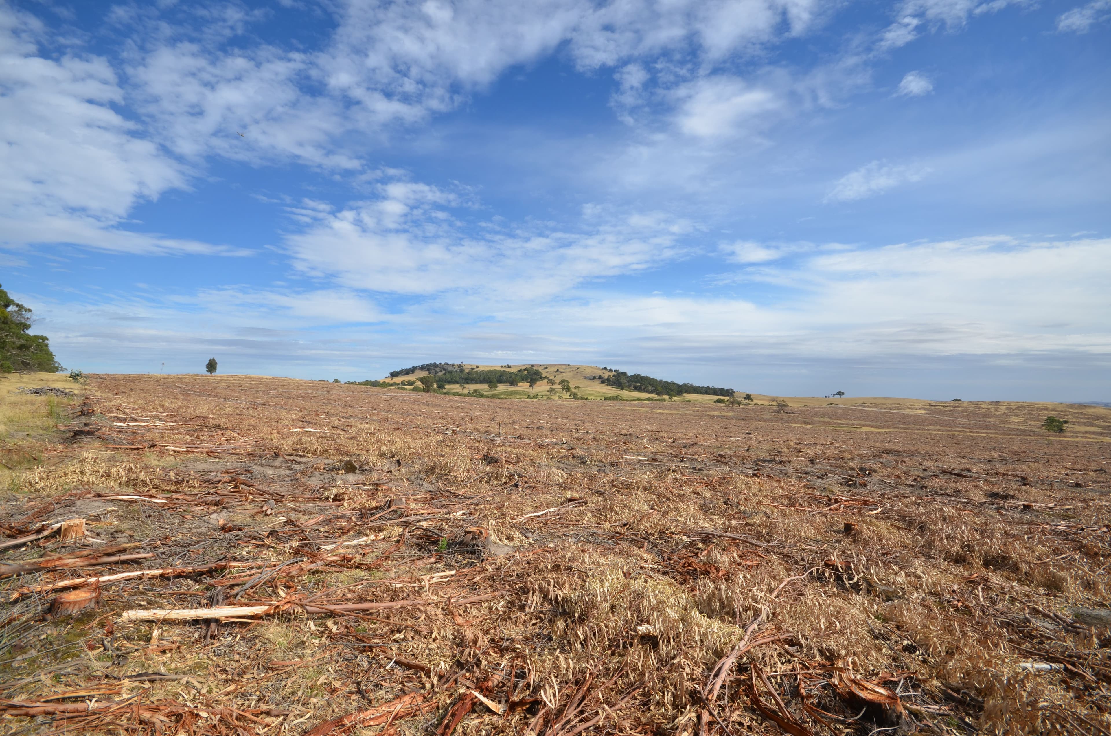"Brennans" Coxs Road, BUANGOR VIC 3375, Buangor - Thumbnail 5