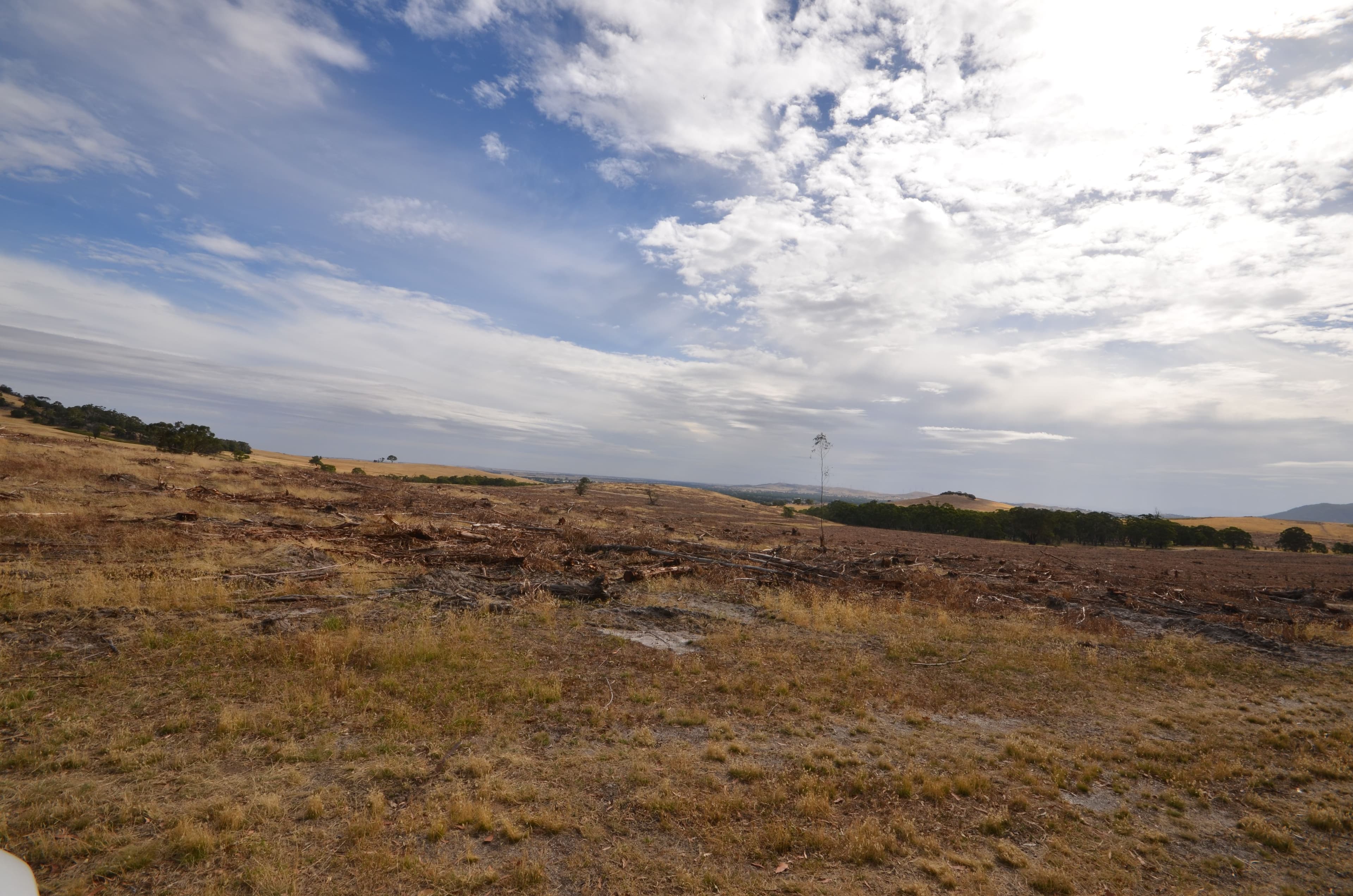 "Brennans" Coxs Road, BUANGOR VIC 3375, Buangor - Thumbnail 7