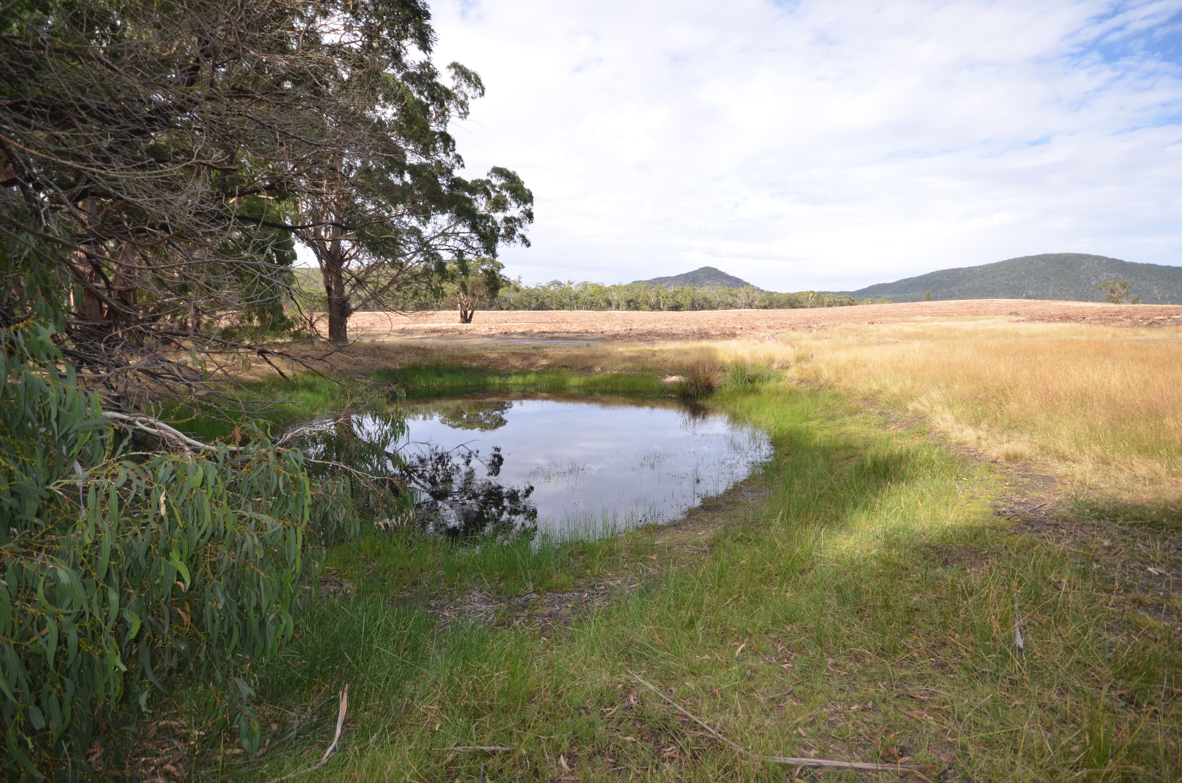 "Brennans" Coxs Road, BUANGOR VIC 3375, Buangor - Image 1