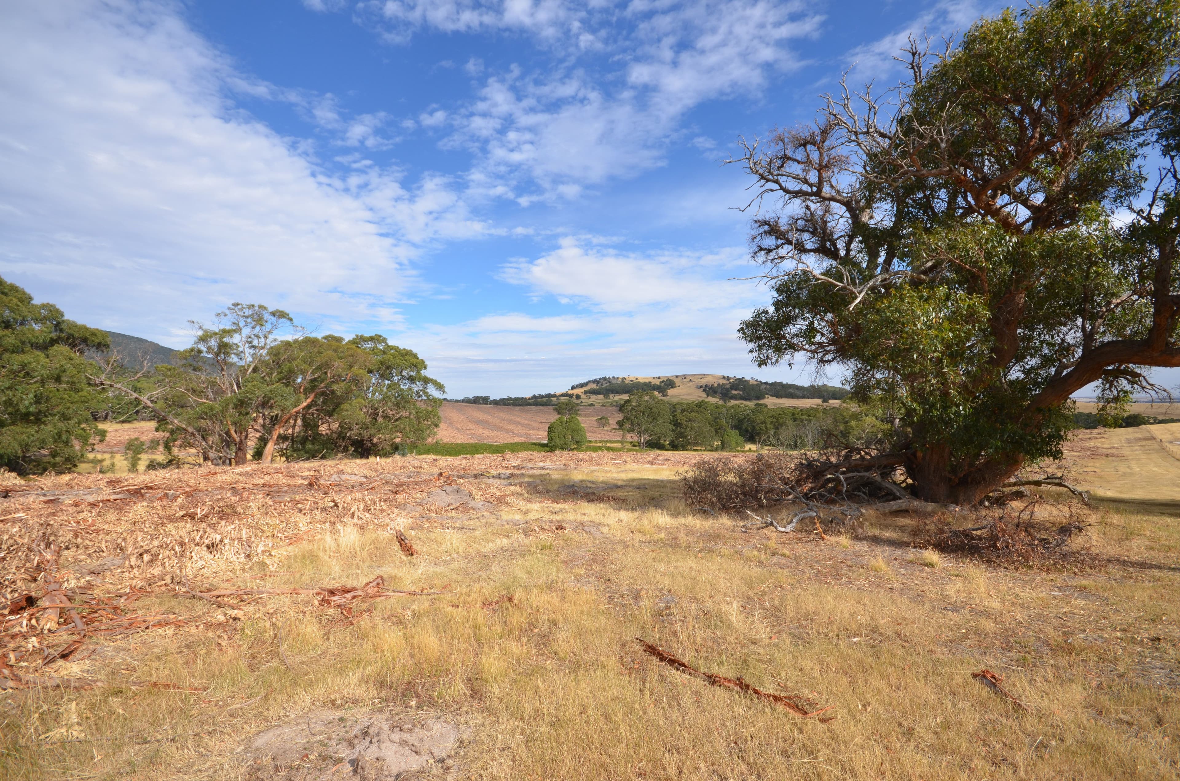 "Brennans" Coxs Road, BUANGOR VIC 3375, Buangor - Thumbnail 3