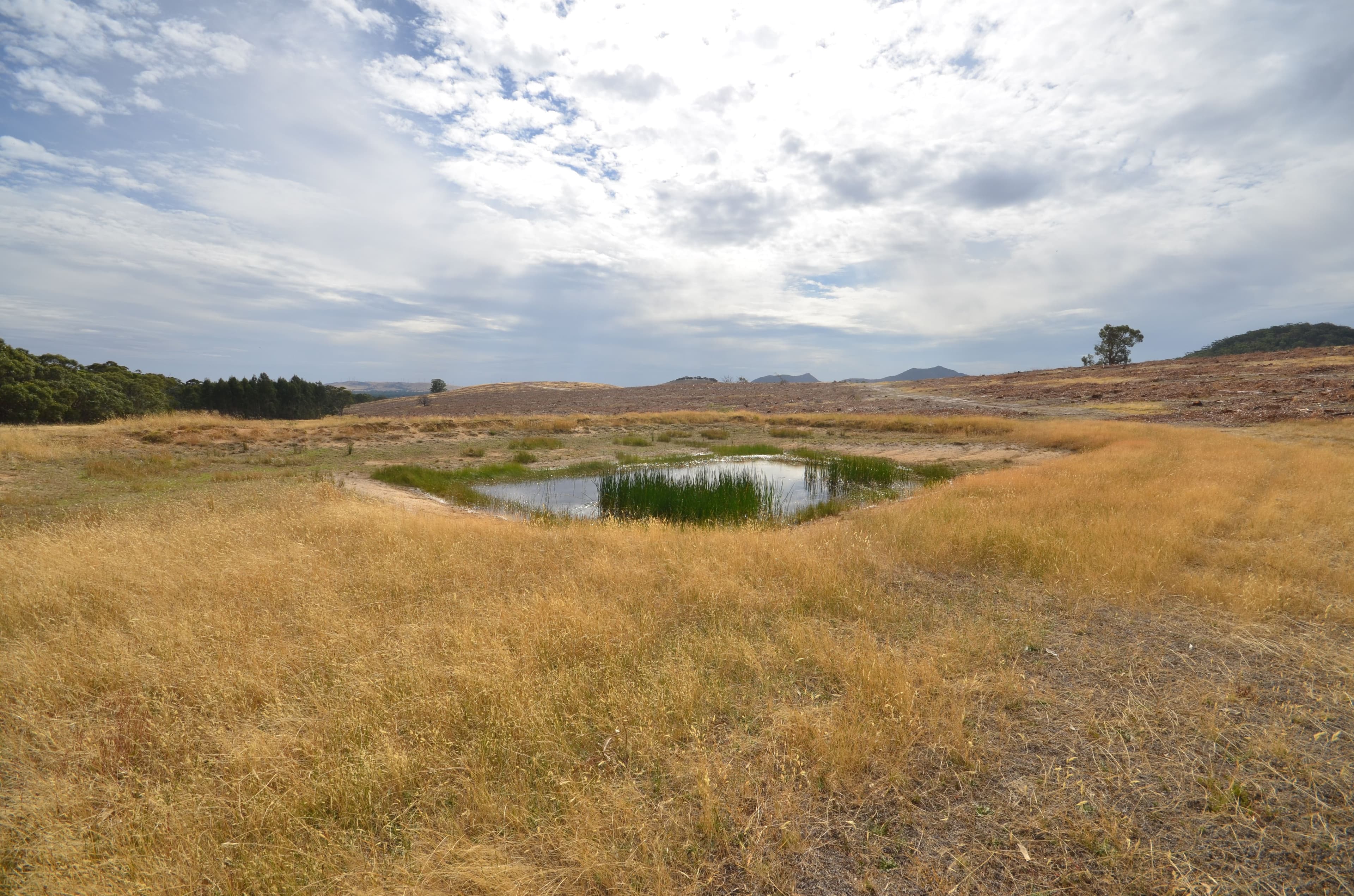 "Brennans" Coxs Road, BUANGOR VIC 3375, Buangor - Thumbnail 6