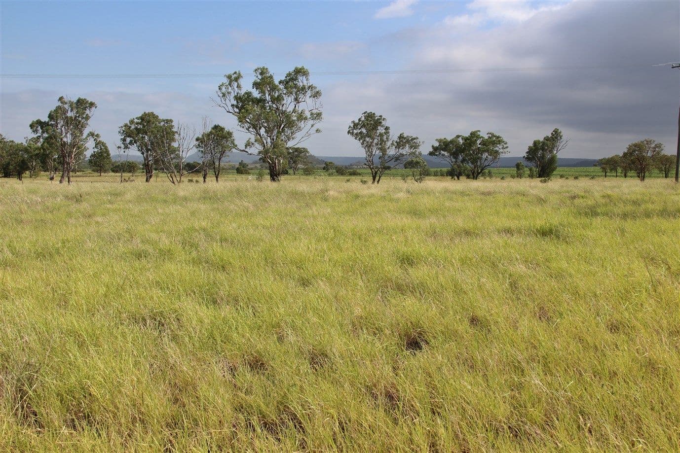 "ParkView" Springsure Tambo Road, SPRINGSURE QLD 4722, Springsure - Thumbnail 7