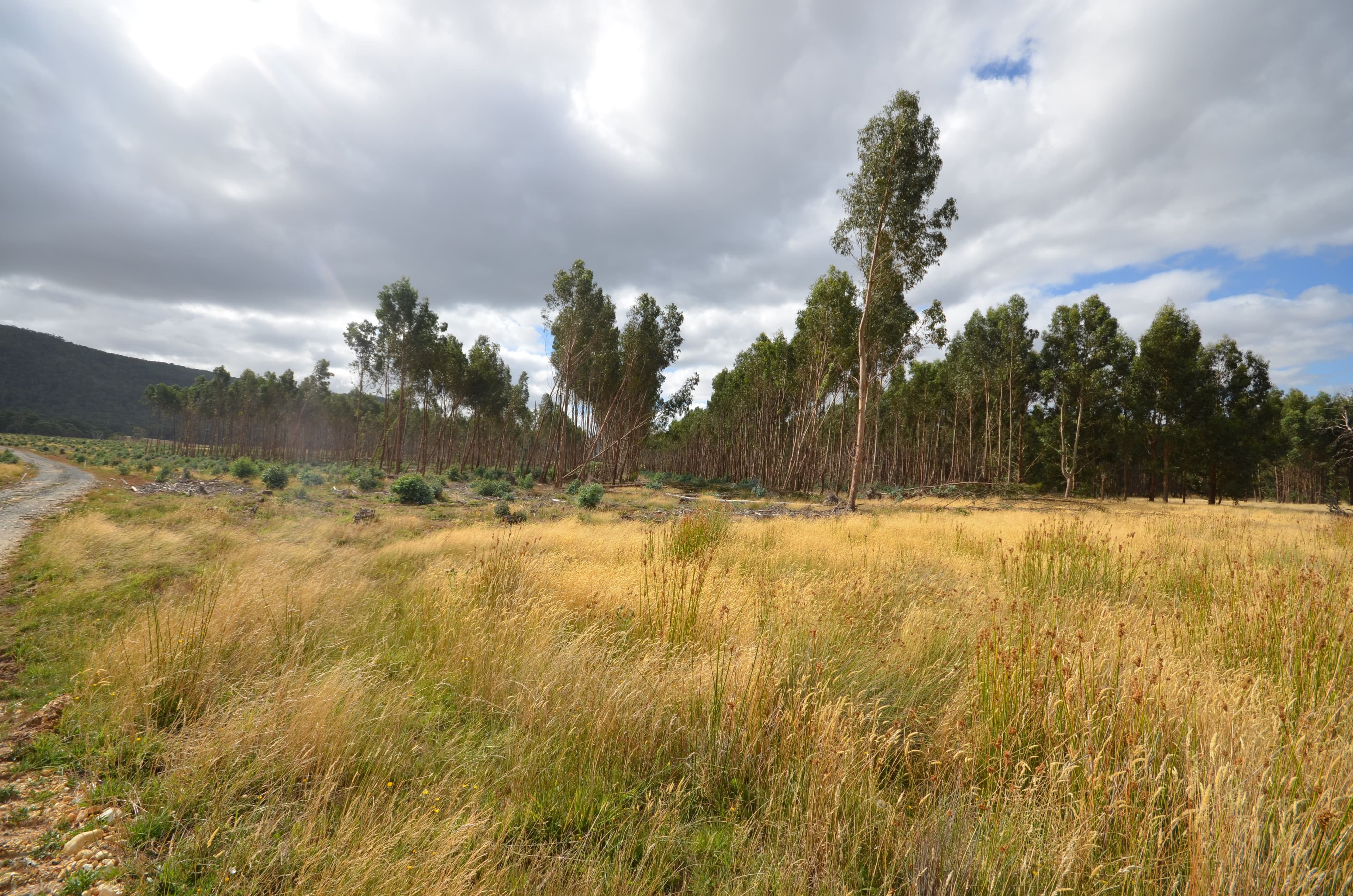 "Jarman" Raglan - Elmhurst Road, RAGLAN VIC 3373, Raglan - Thumbnail 4