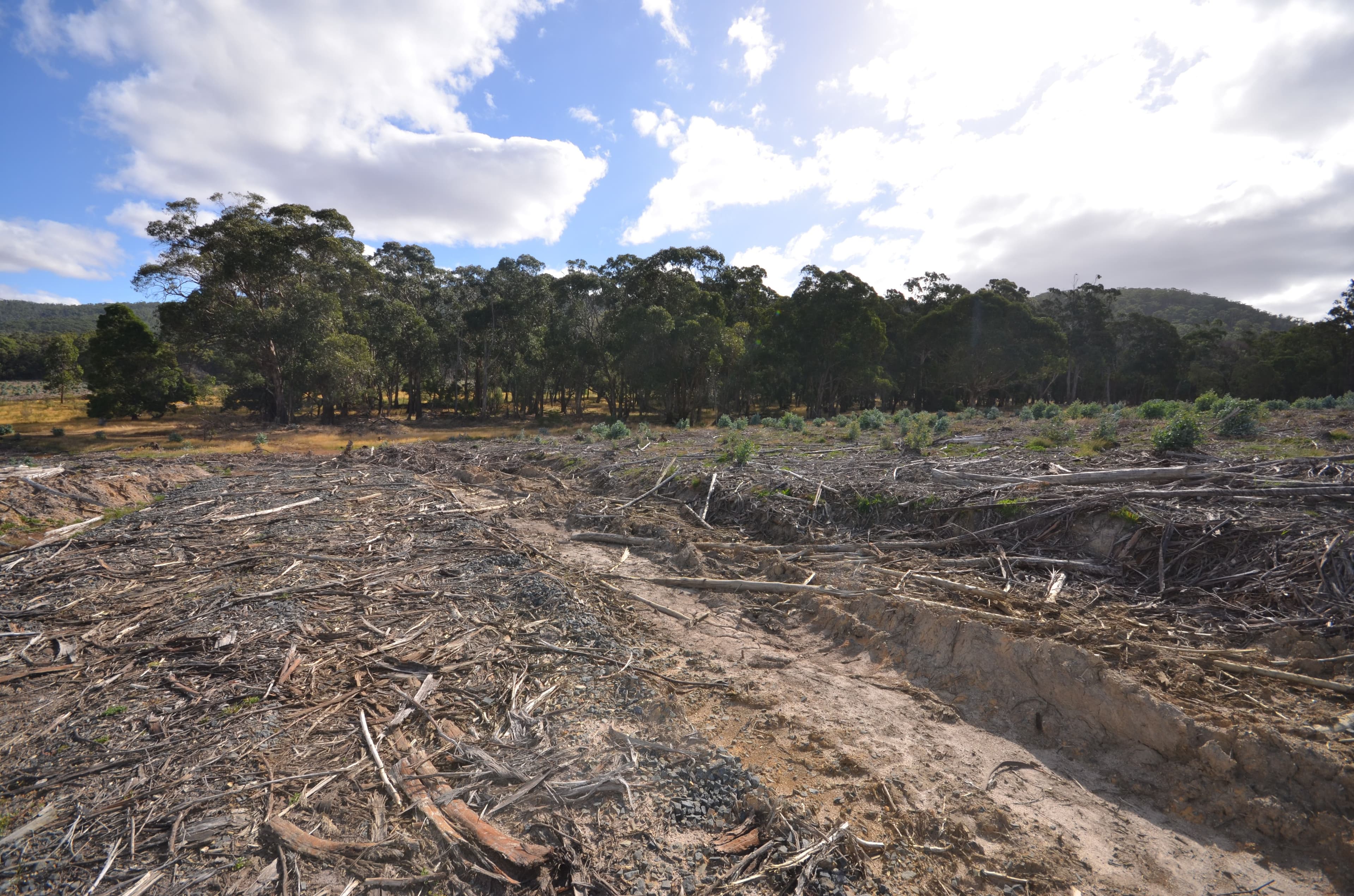"Jarman" Raglan - Elmhurst Road, RAGLAN VIC 3373, Raglan - Thumbnail 6