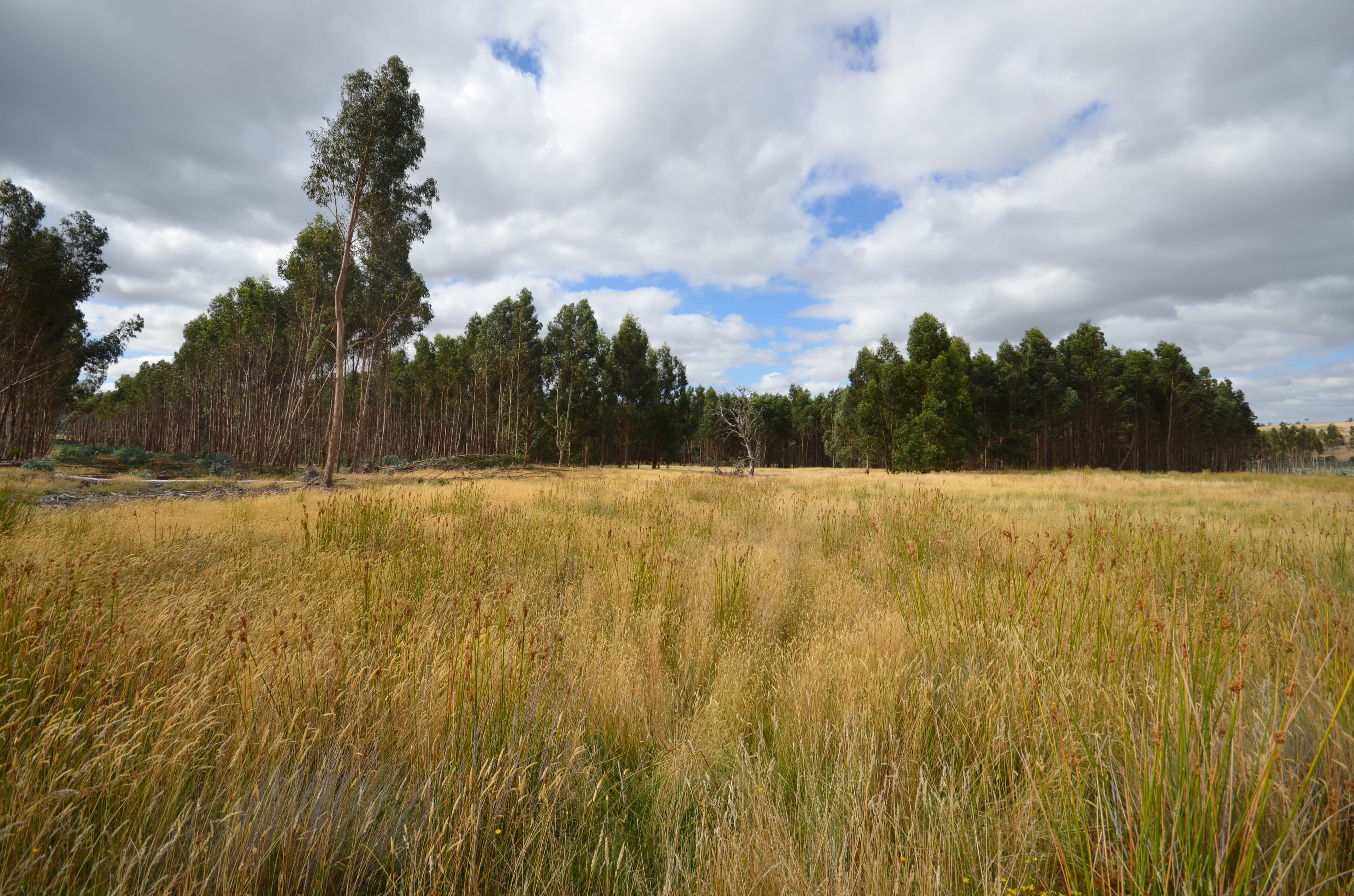 "Jarman" Raglan - Elmhurst Road, RAGLAN VIC 3373, Raglan - Thumbnail 8