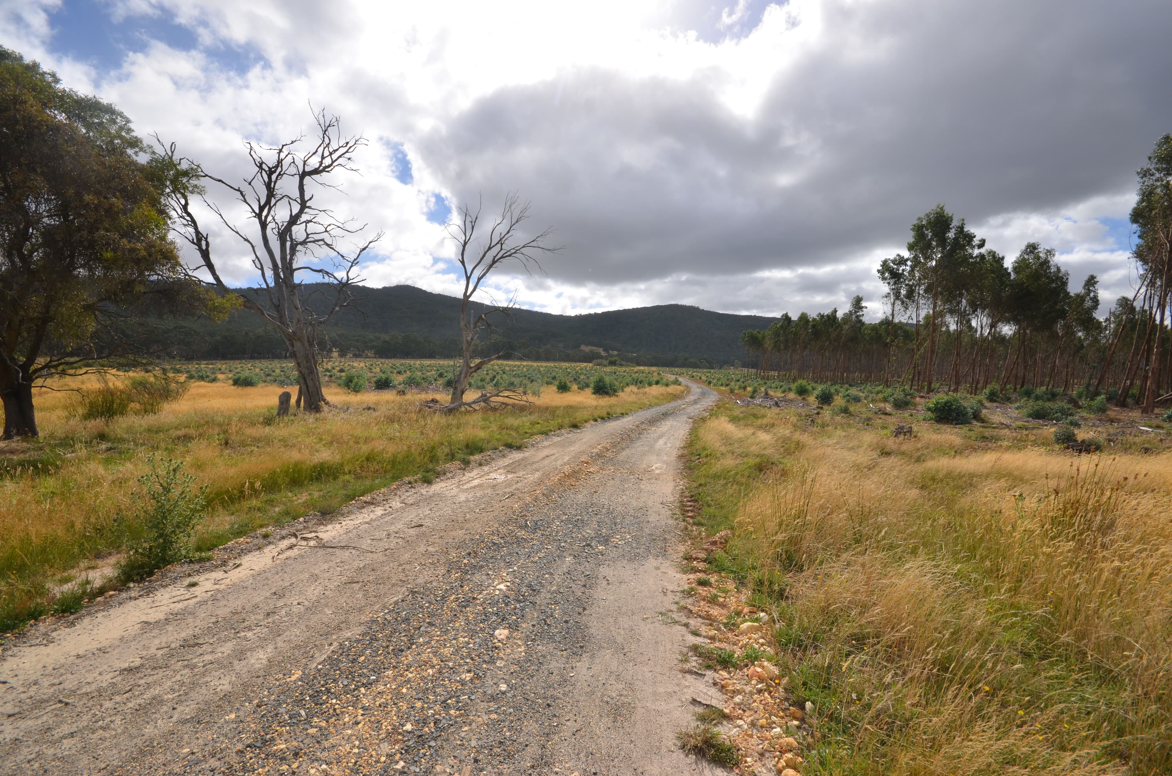 "Jarman" Raglan - Elmhurst Road, RAGLAN VIC 3373, Raglan - Image 1