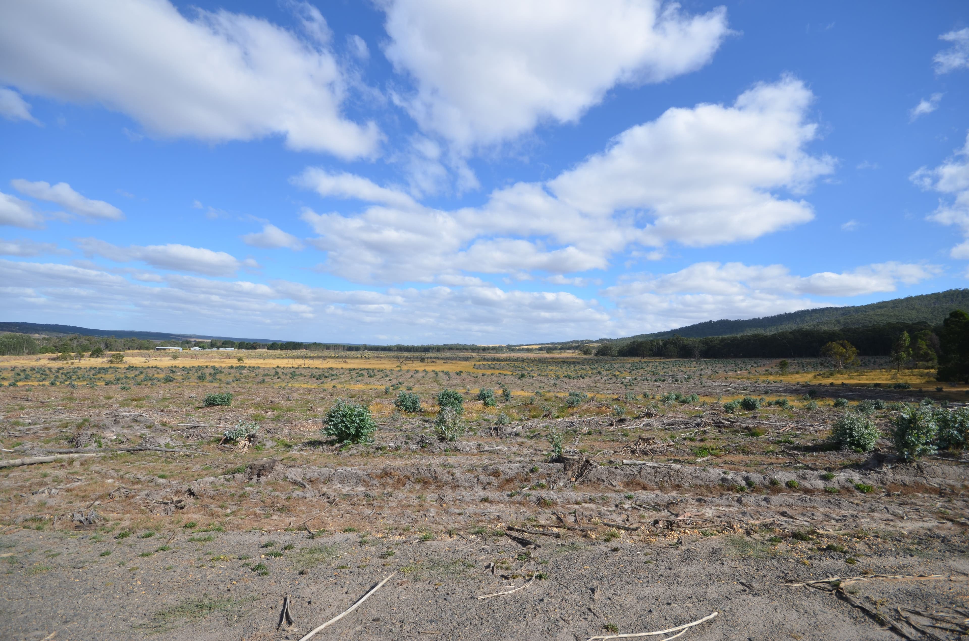 "Jarman" Raglan - Elmhurst Road, RAGLAN VIC 3373, Raglan - Thumbnail 5