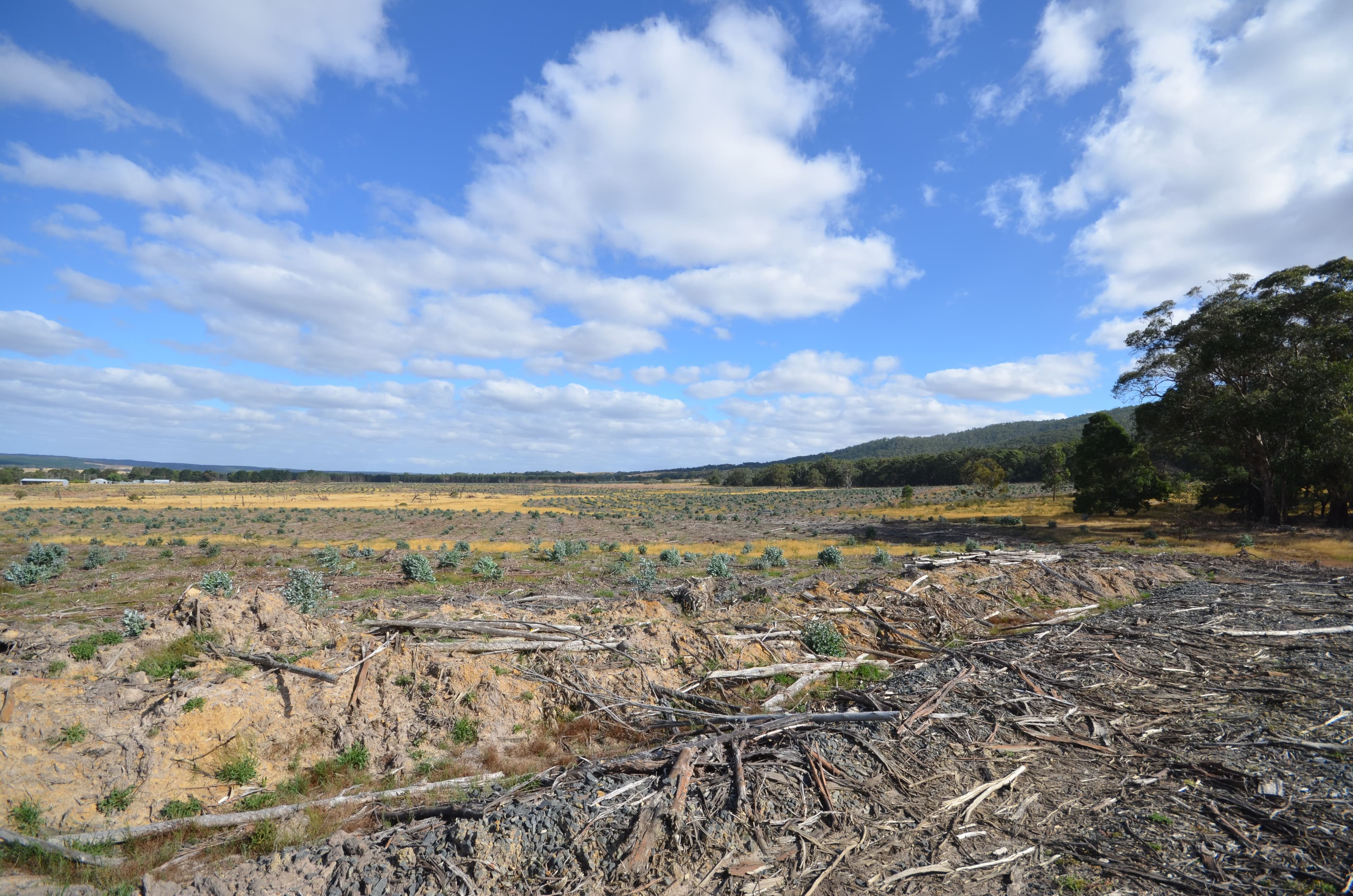 "Jarman" Raglan - Elmhurst Road, RAGLAN VIC 3373, Raglan - Thumbnail 7