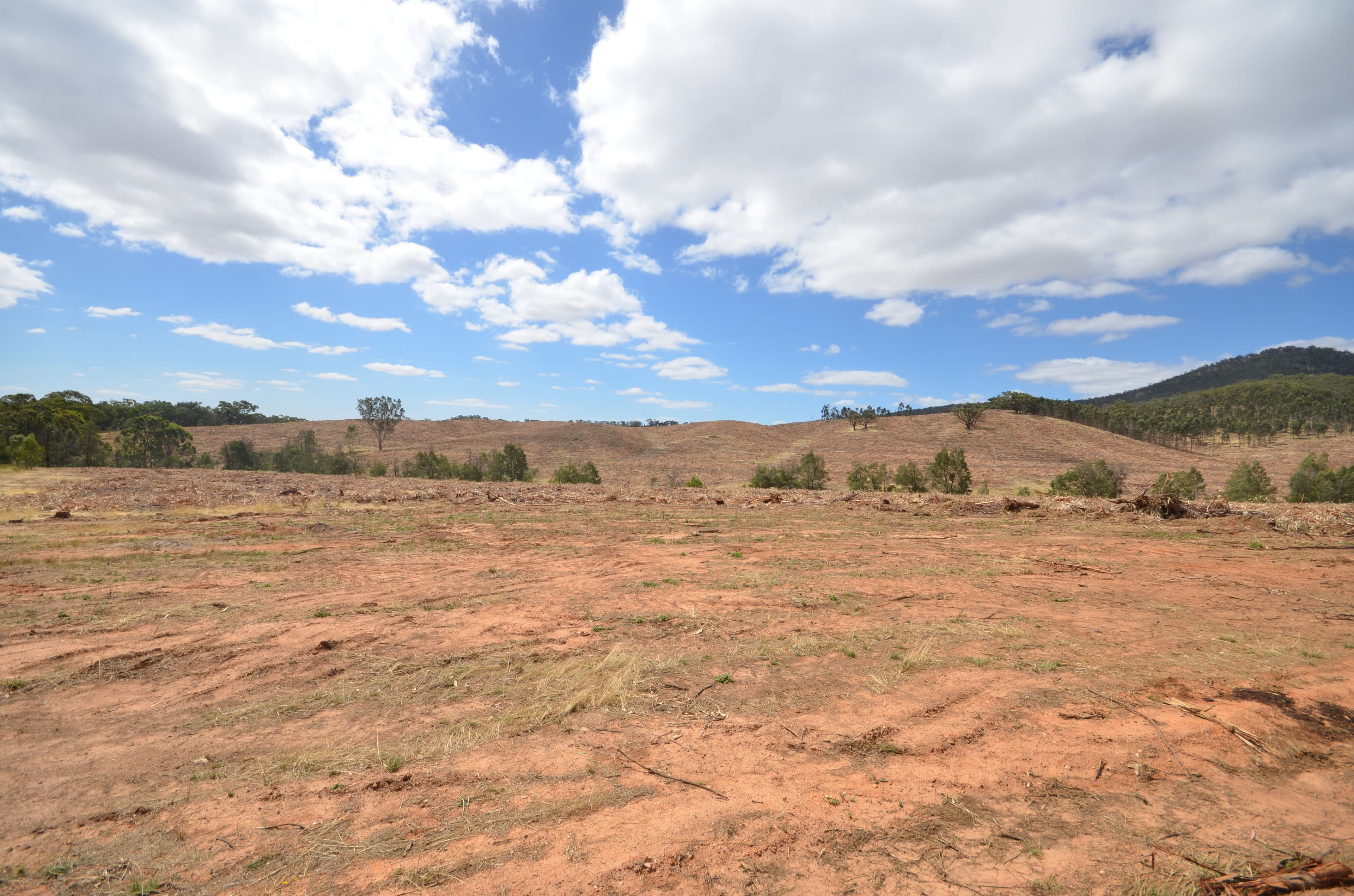 "Padgett" Iron Pot Creek Road, WARRAK VIC 3377, Warrak - Thumbnail 7