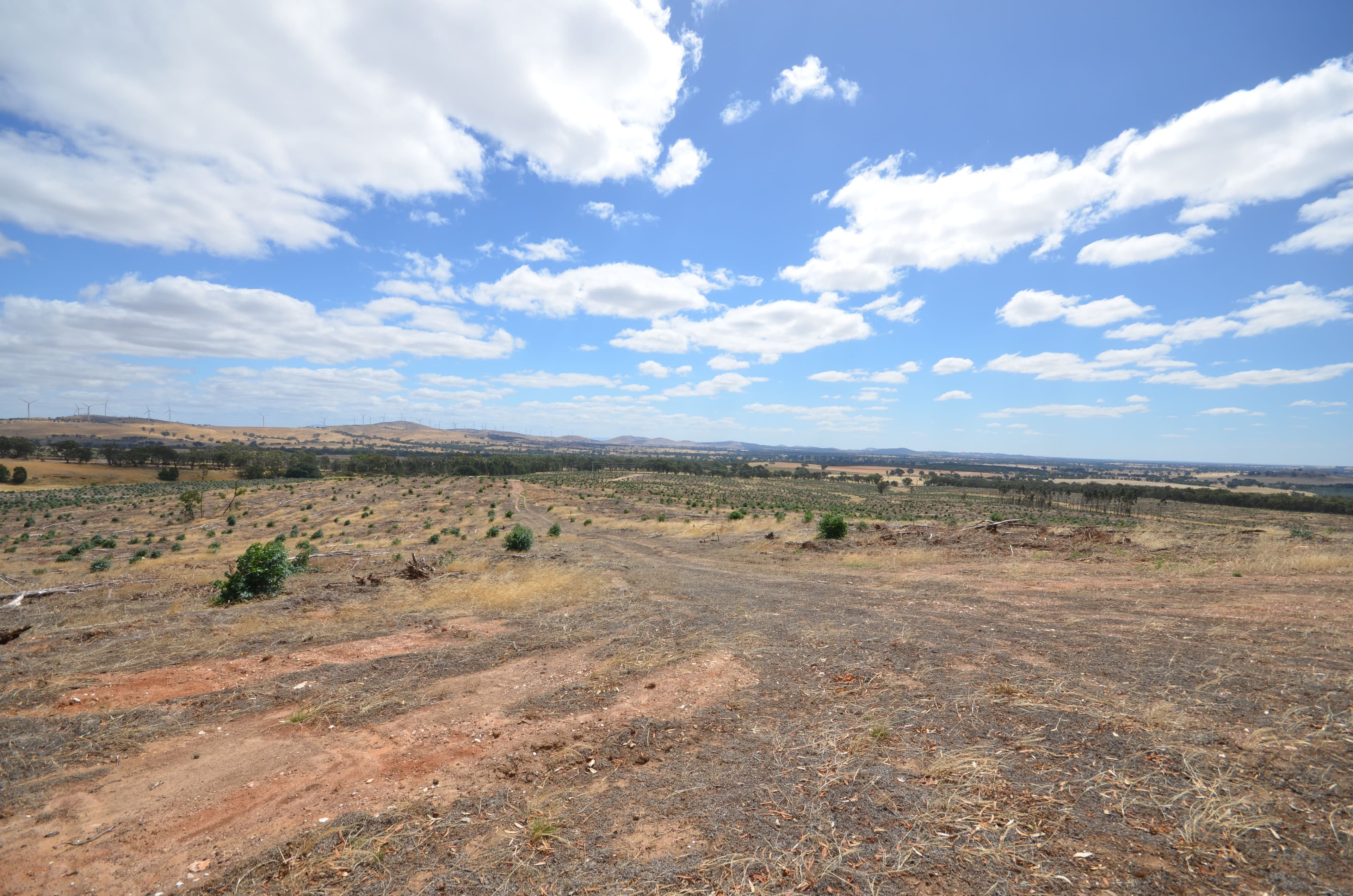 "Padgett" Iron Pot Creek Road, WARRAK VIC 3377, Warrak - Thumbnail 2