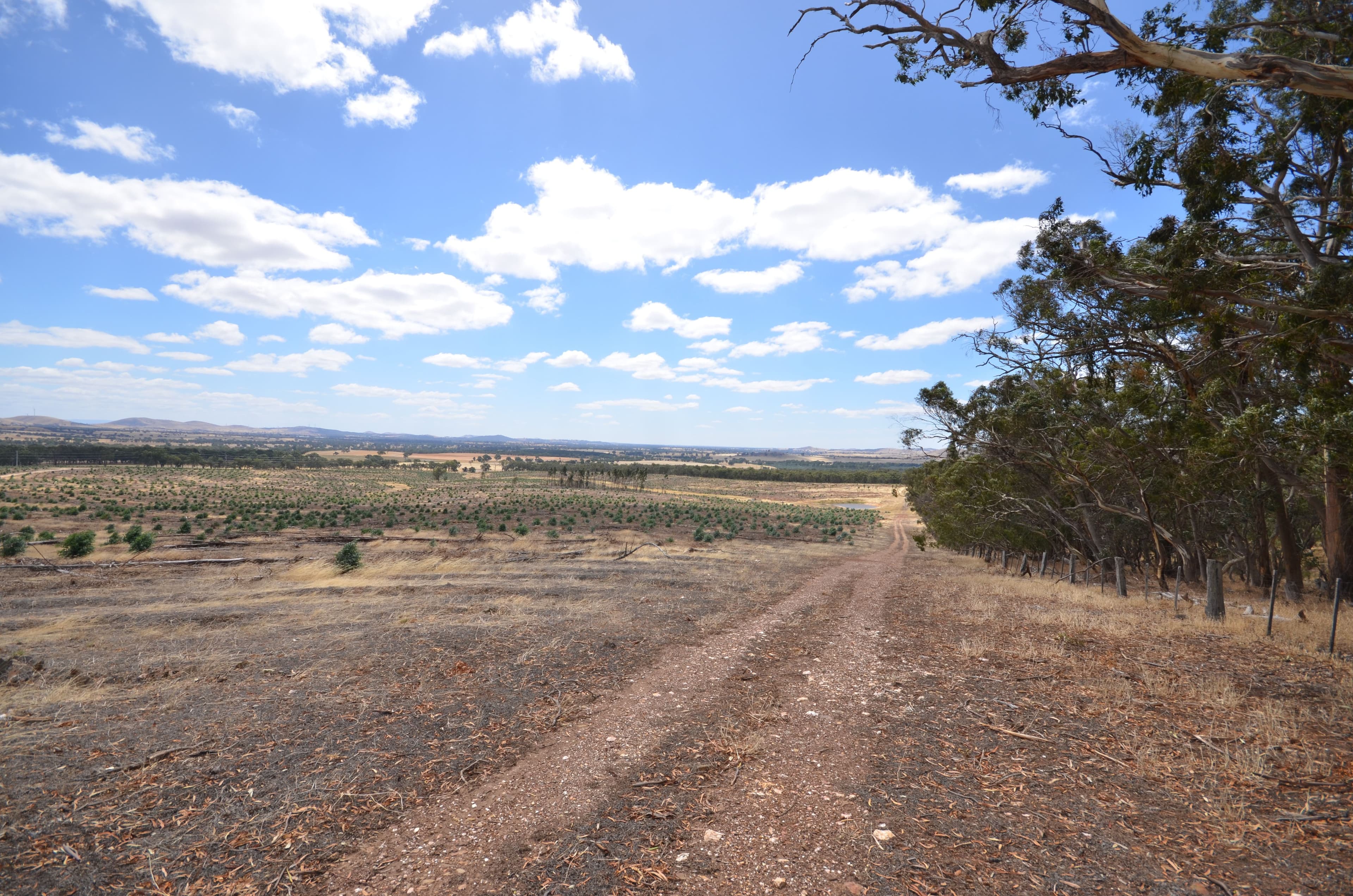 "Padgett" Iron Pot Creek Road, WARRAK VIC 3377, Warrak - Image 1