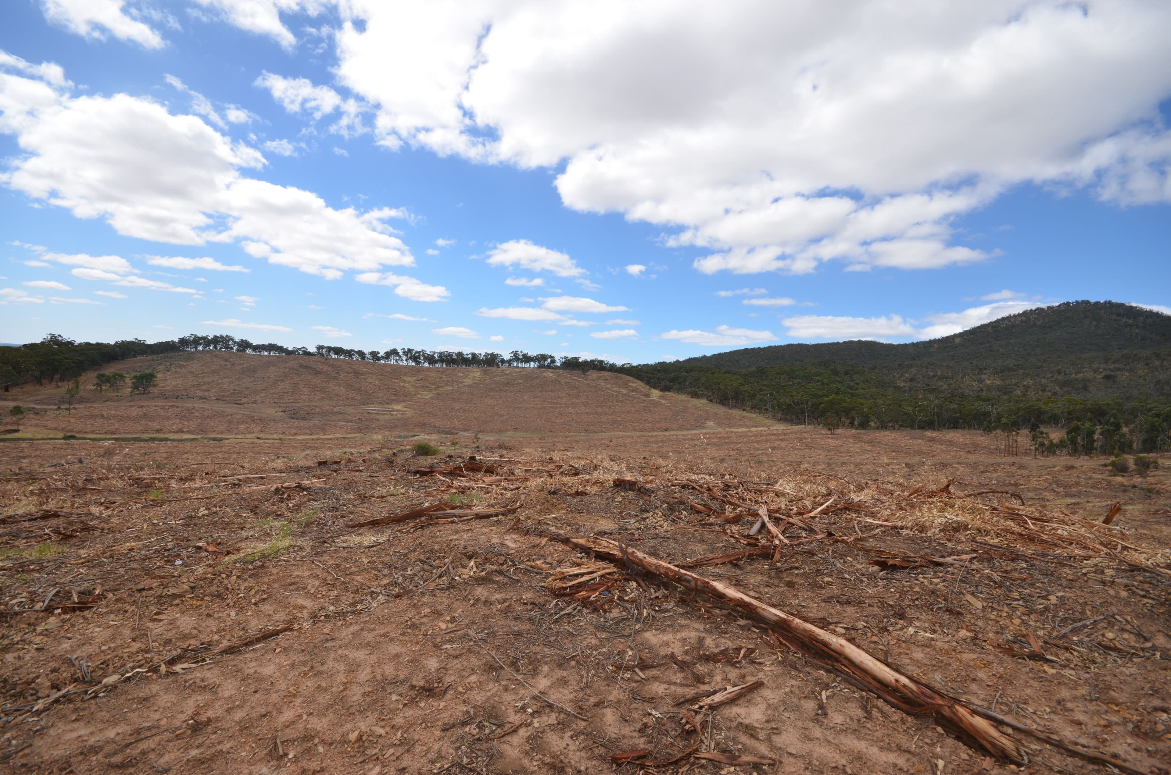 "Padgett" Iron Pot Creek Road, WARRAK VIC 3377, Warrak - Thumbnail 5