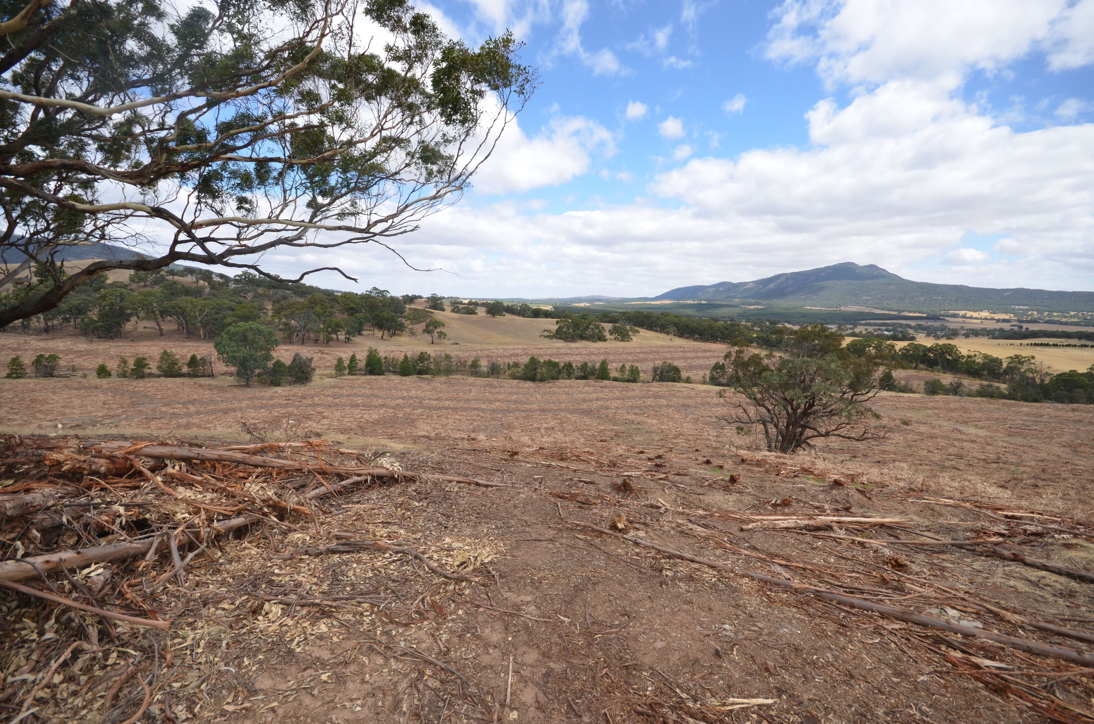 "Padgett" Iron Pot Creek Road, WARRAK VIC 3377, Warrak - Thumbnail 4