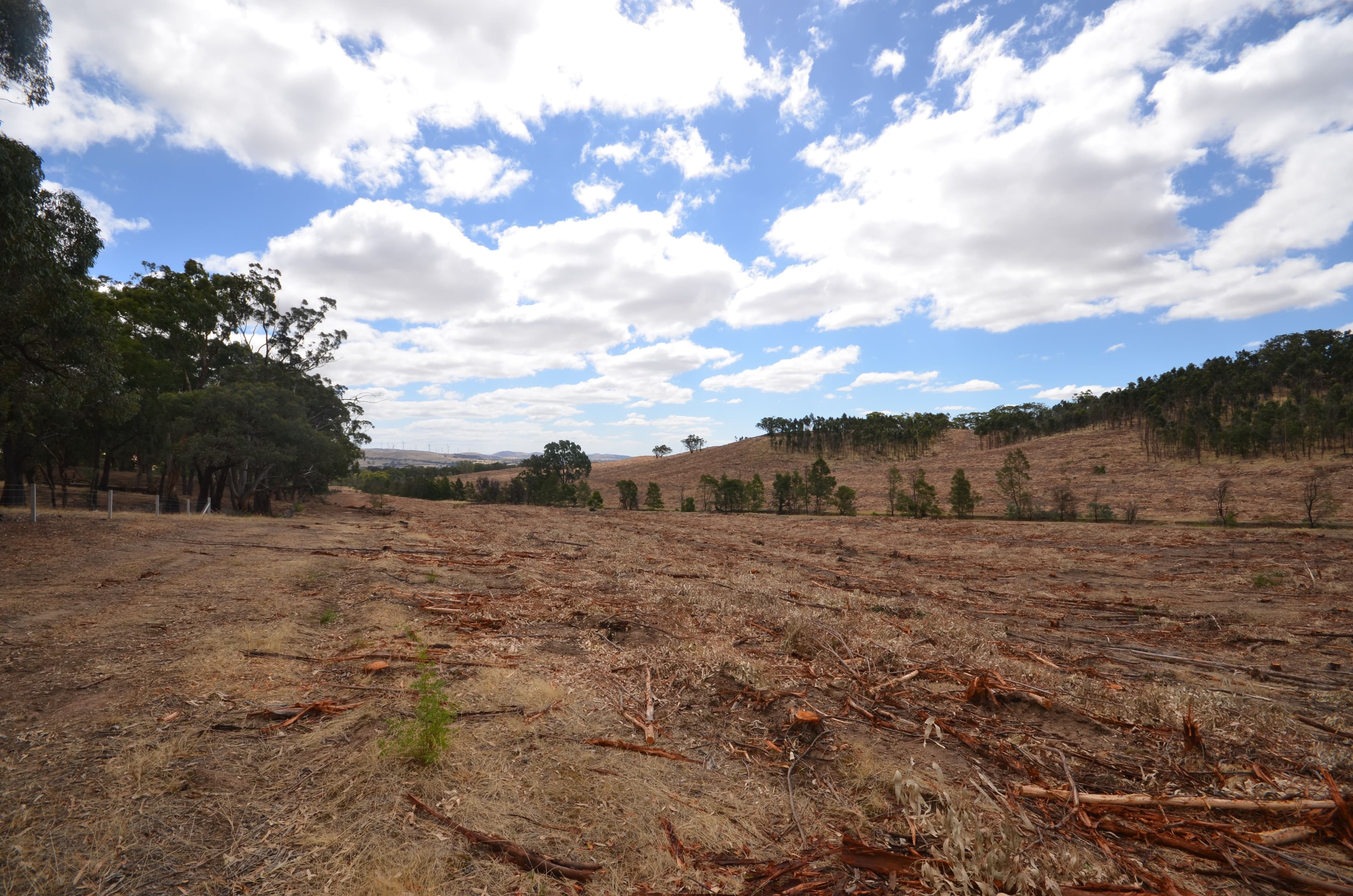 "Padgett" Iron Pot Creek Road, WARRAK VIC 3377, Warrak - Thumbnail 8