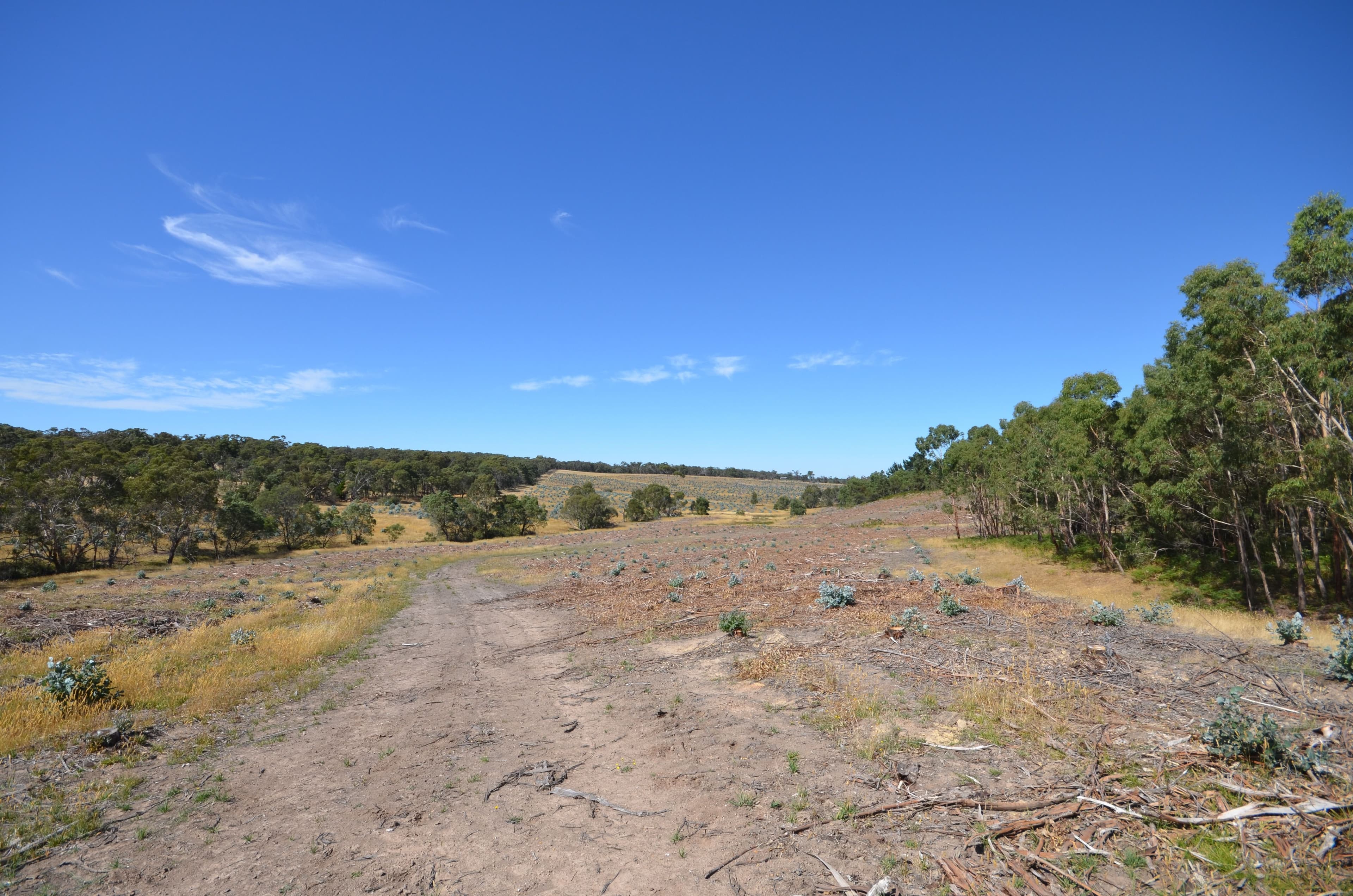 "McVeigh" Mount Mercer - Dereel Road, DEREEL VIC 3352, Dereel - Image 1