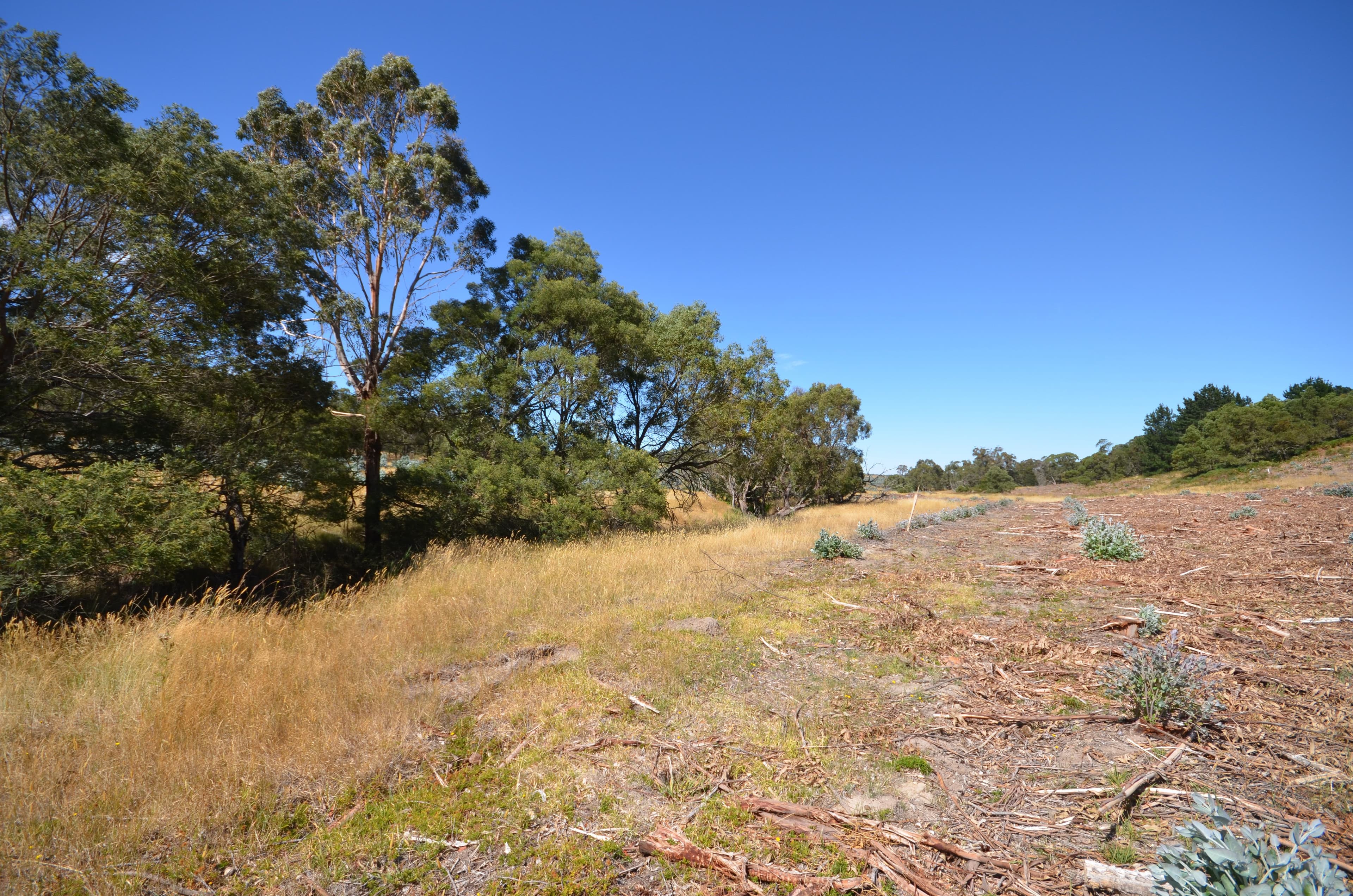"McVeigh" Mount Mercer - Dereel Road, DEREEL VIC 3352, Dereel - Thumbnail 7