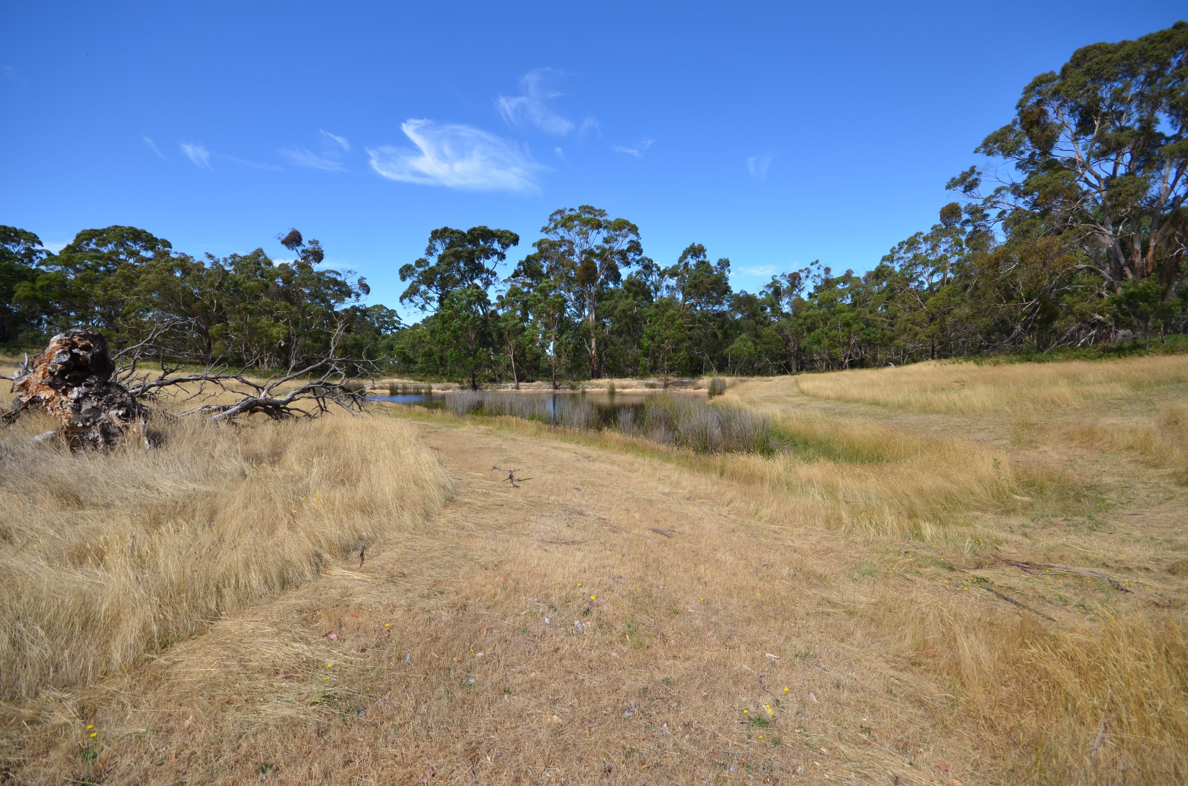 "McVeigh" Mount Mercer - Dereel Road, DEREEL VIC 3352, Dereel - Thumbnail 2