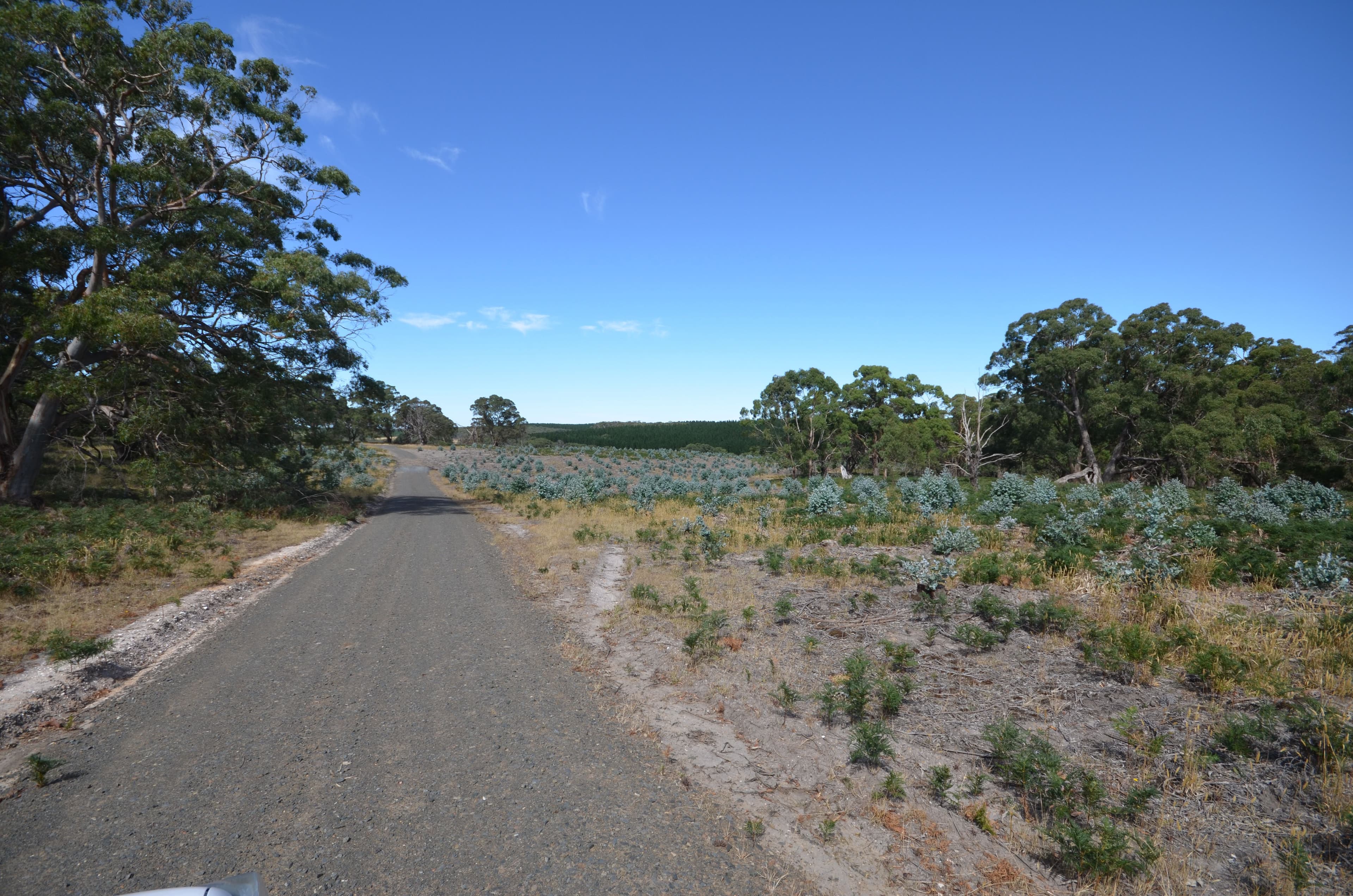 "McVeigh" Mount Mercer - Dereel Road, DEREEL VIC 3352, Dereel - Thumbnail 3