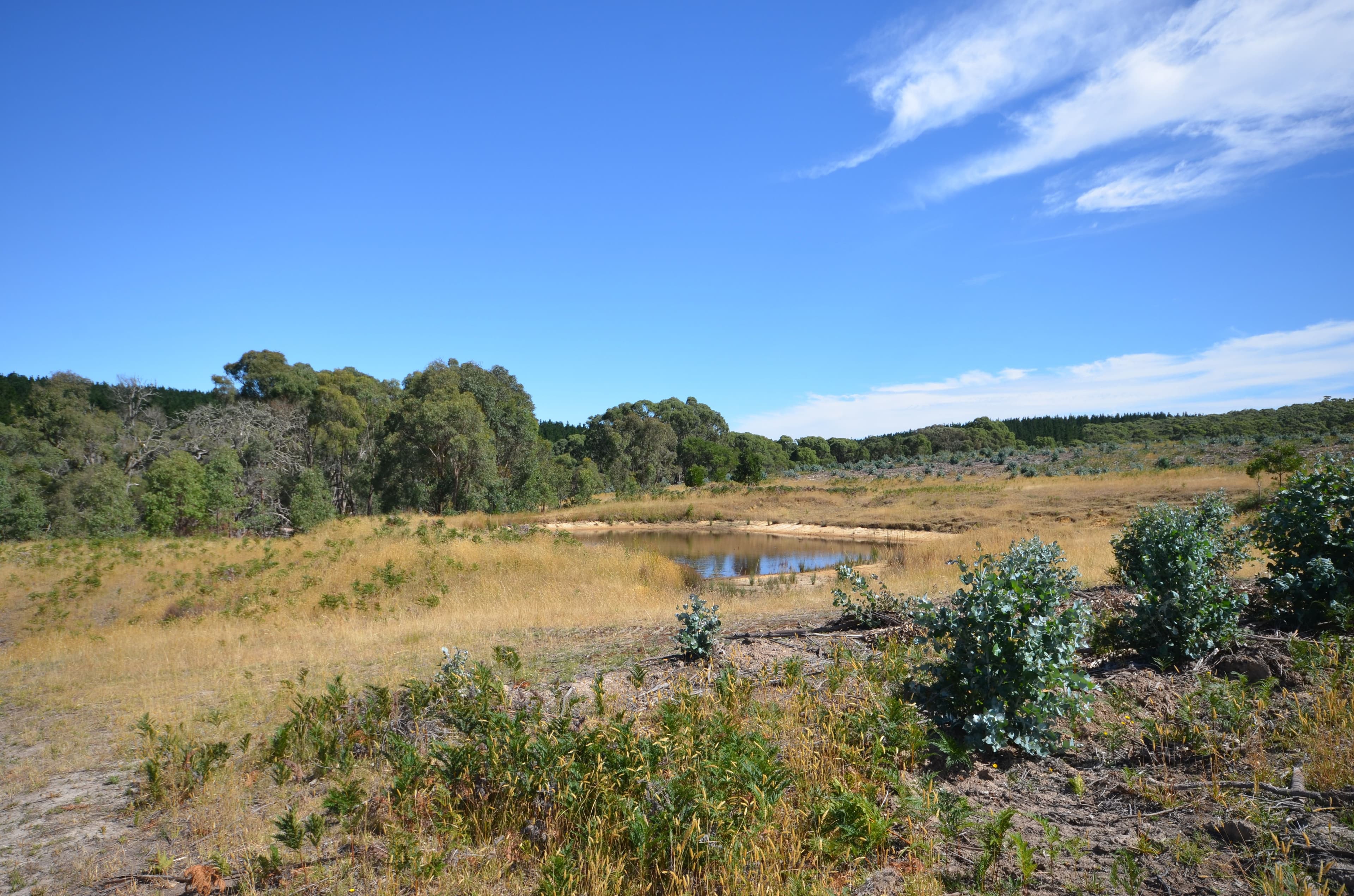 "McVeigh" Mount Mercer - Dereel Road, DEREEL VIC 3352, Dereel - Thumbnail 4