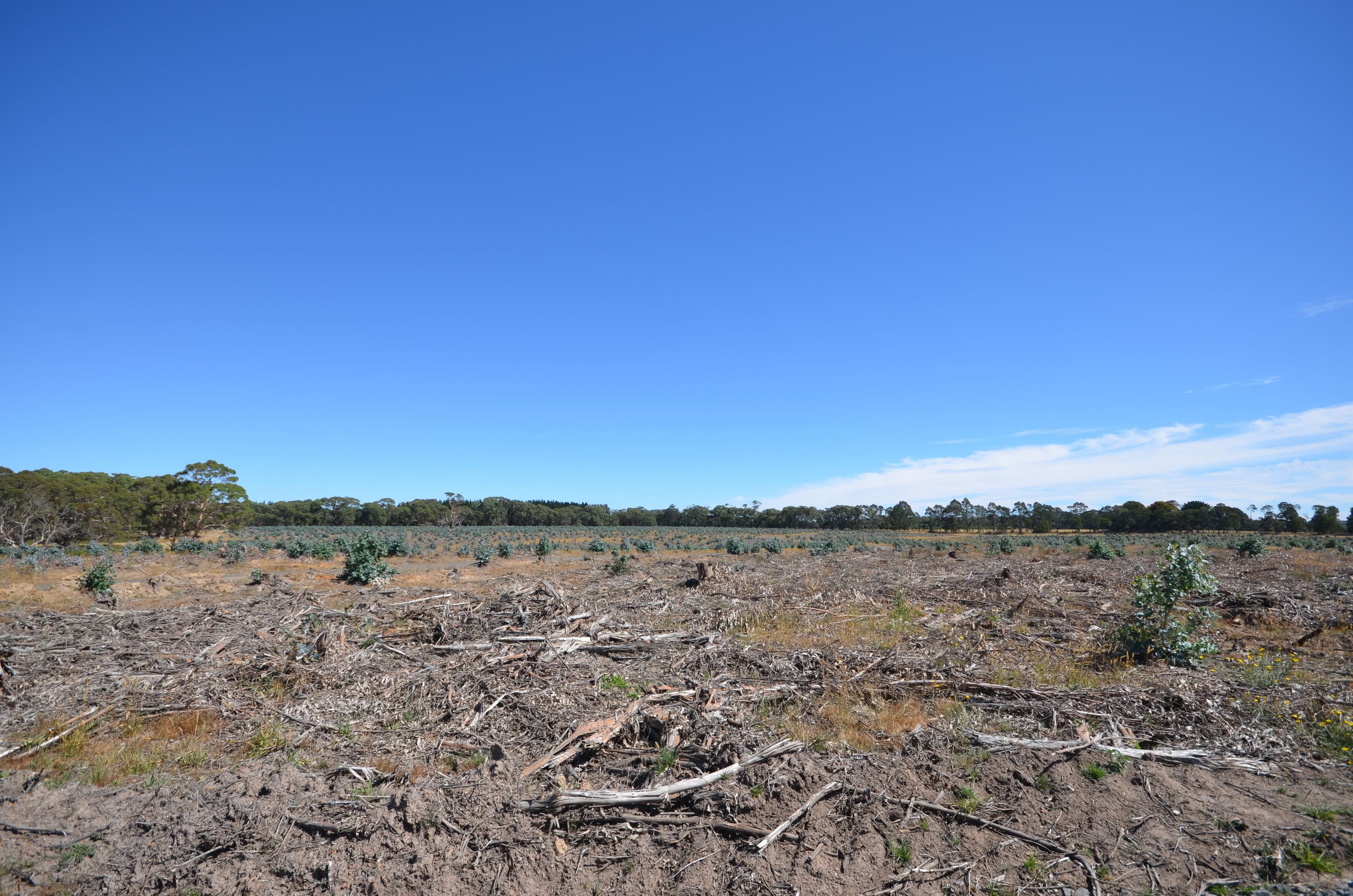 "McVeigh" Mount Mercer - Dereel Road, DEREEL VIC 3352, Dereel - Thumbnail 6