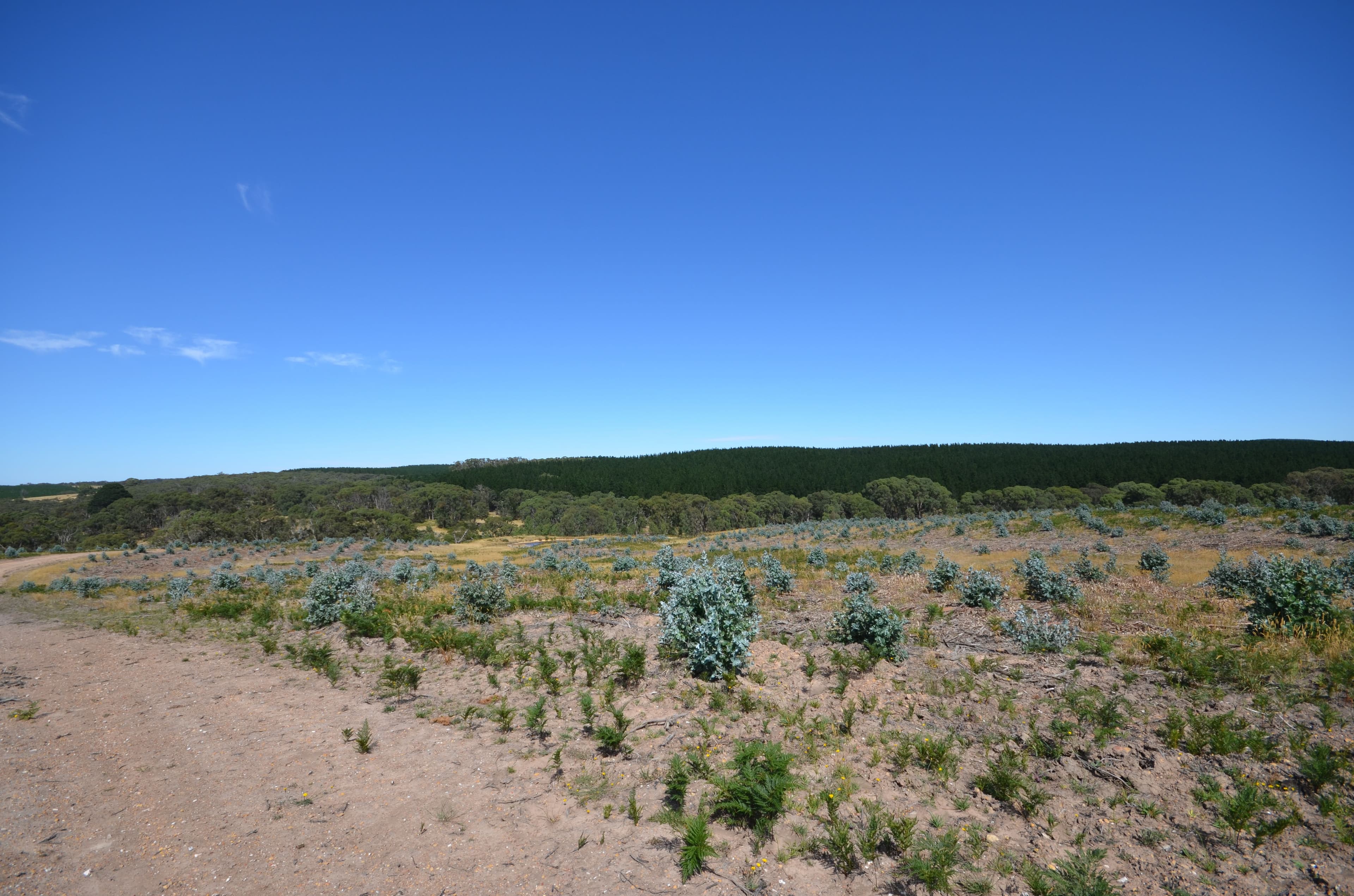 "McVeigh" Mount Mercer - Dereel Road, DEREEL VIC 3352, Dereel - Thumbnail 8
