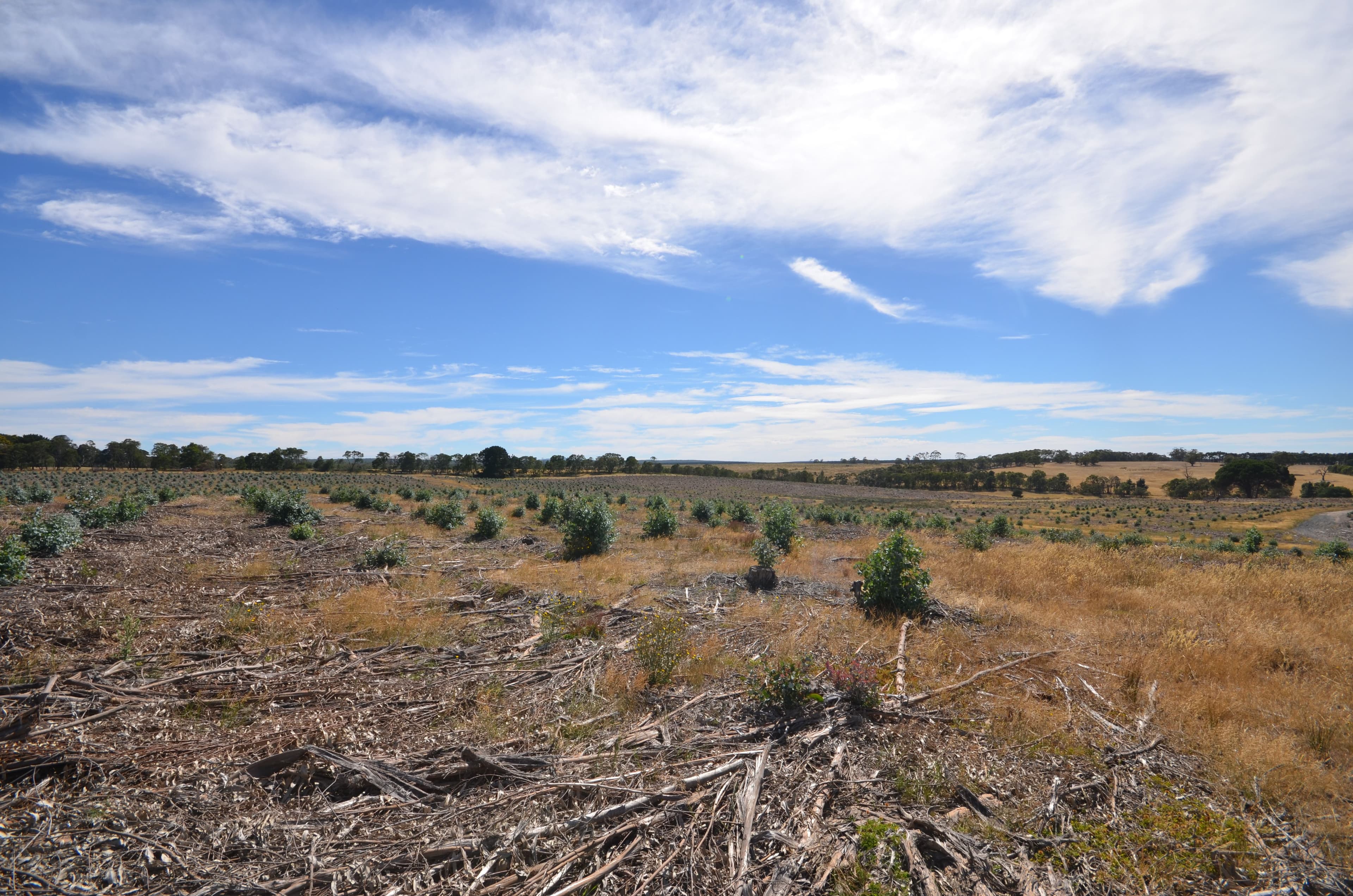 "McVeigh" Mount Mercer - Dereel Road, DEREEL VIC 3352, Dereel - Thumbnail 5