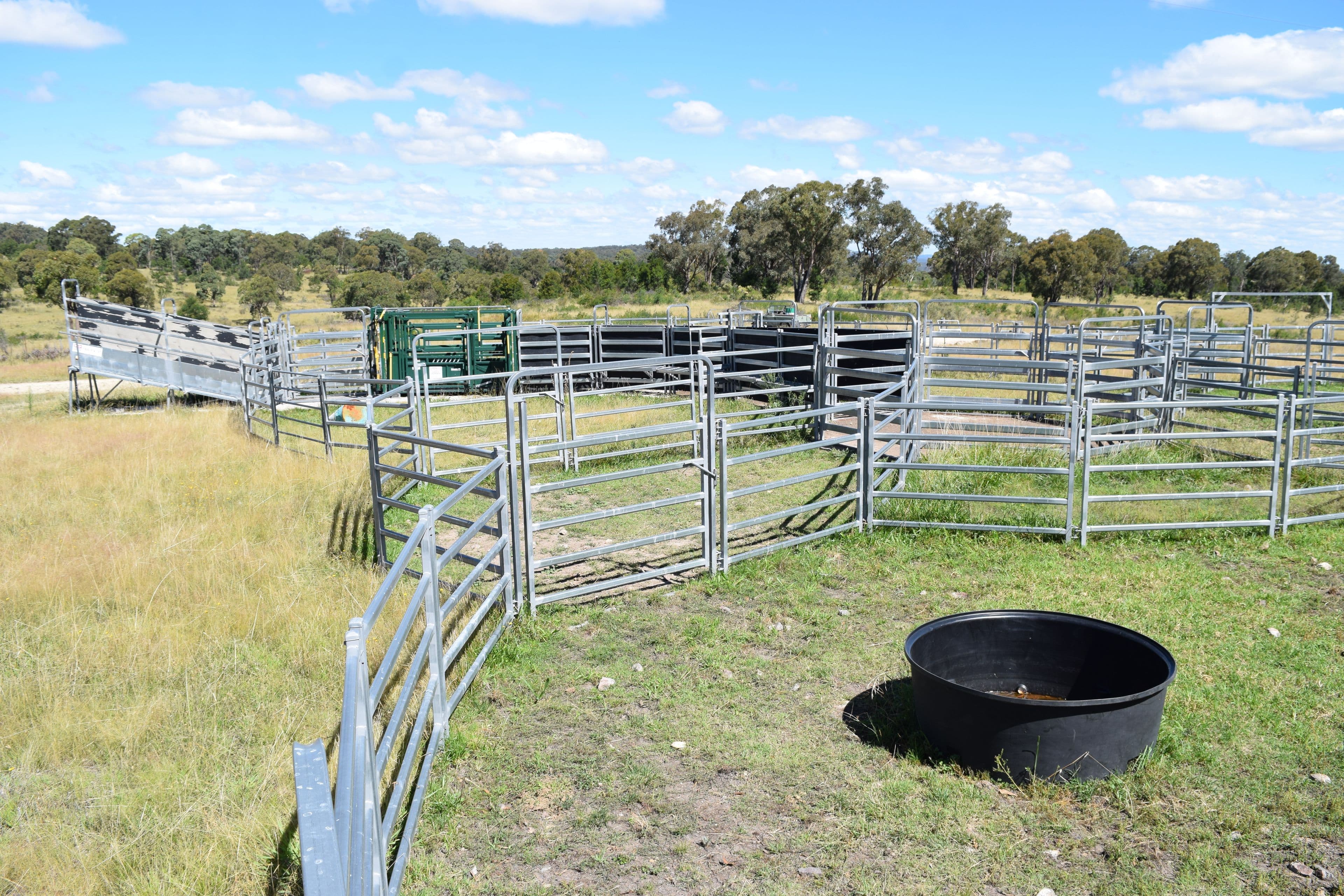 Big Mill 523 Westbrook Road, Guyra NSW 2365, Guyra - Thumbnail 2