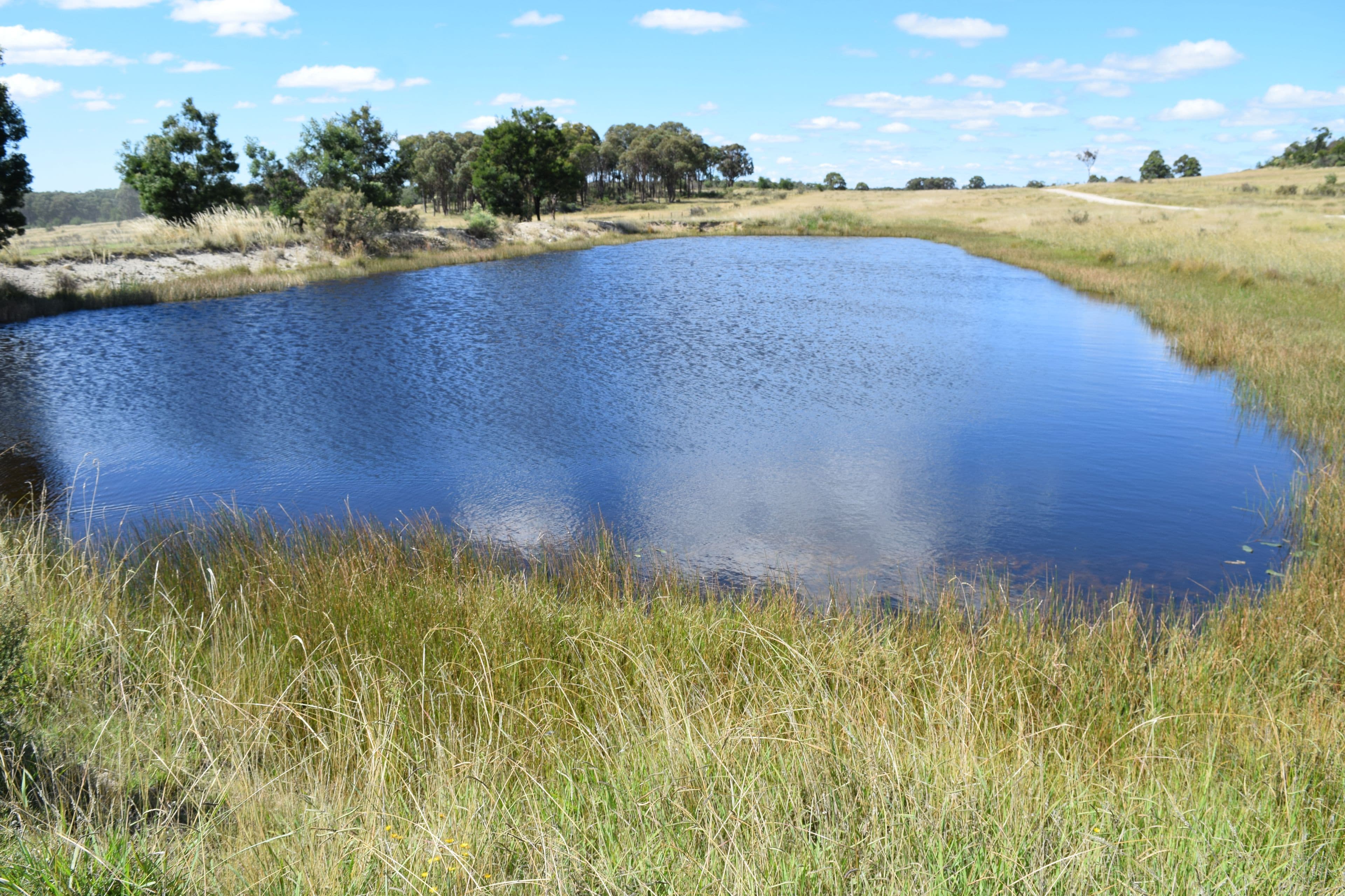 Big Mill 523 Westbrook Road, Guyra NSW 2365, Guyra - Thumbnail 4